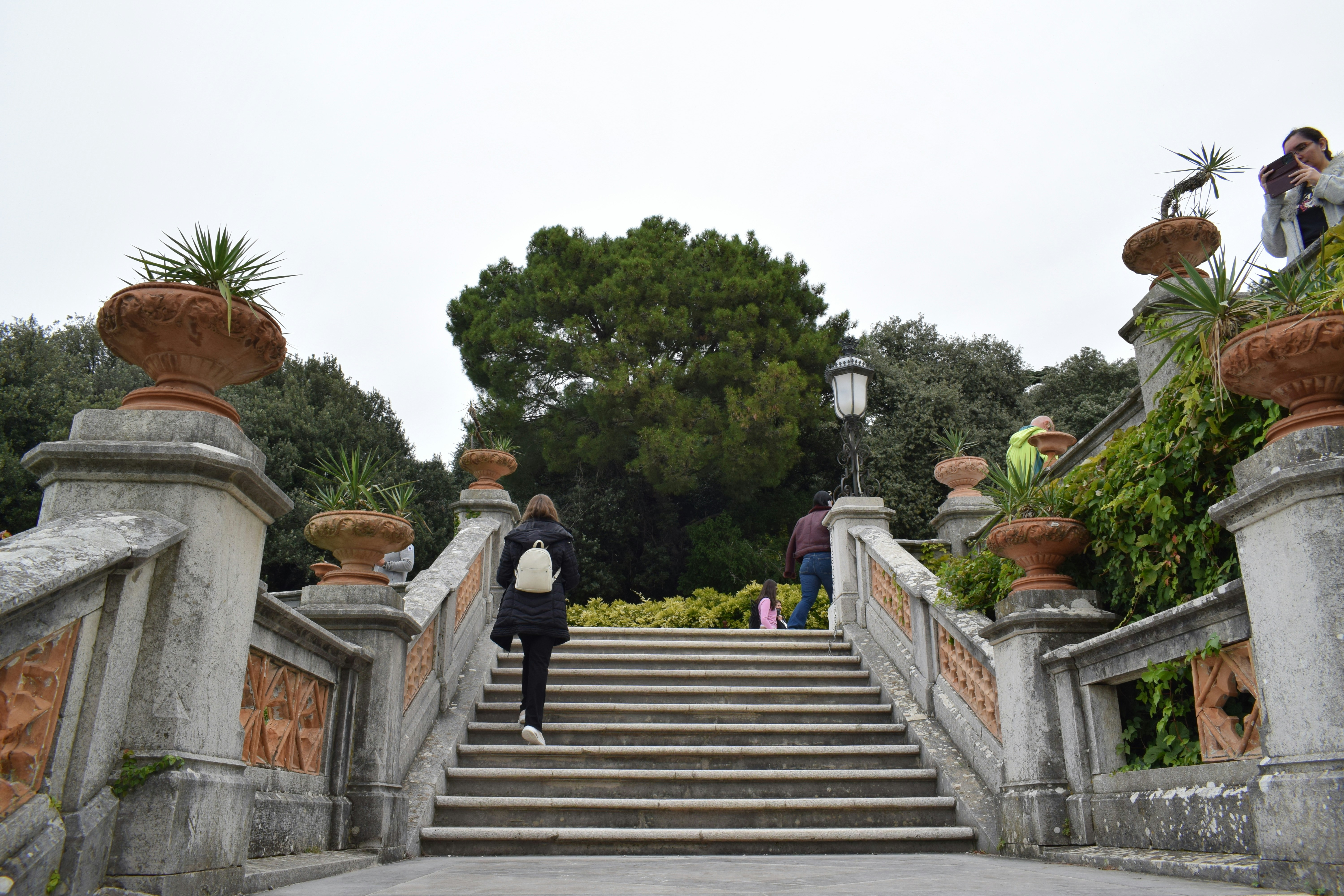 People walking up stone stairs in a garden.