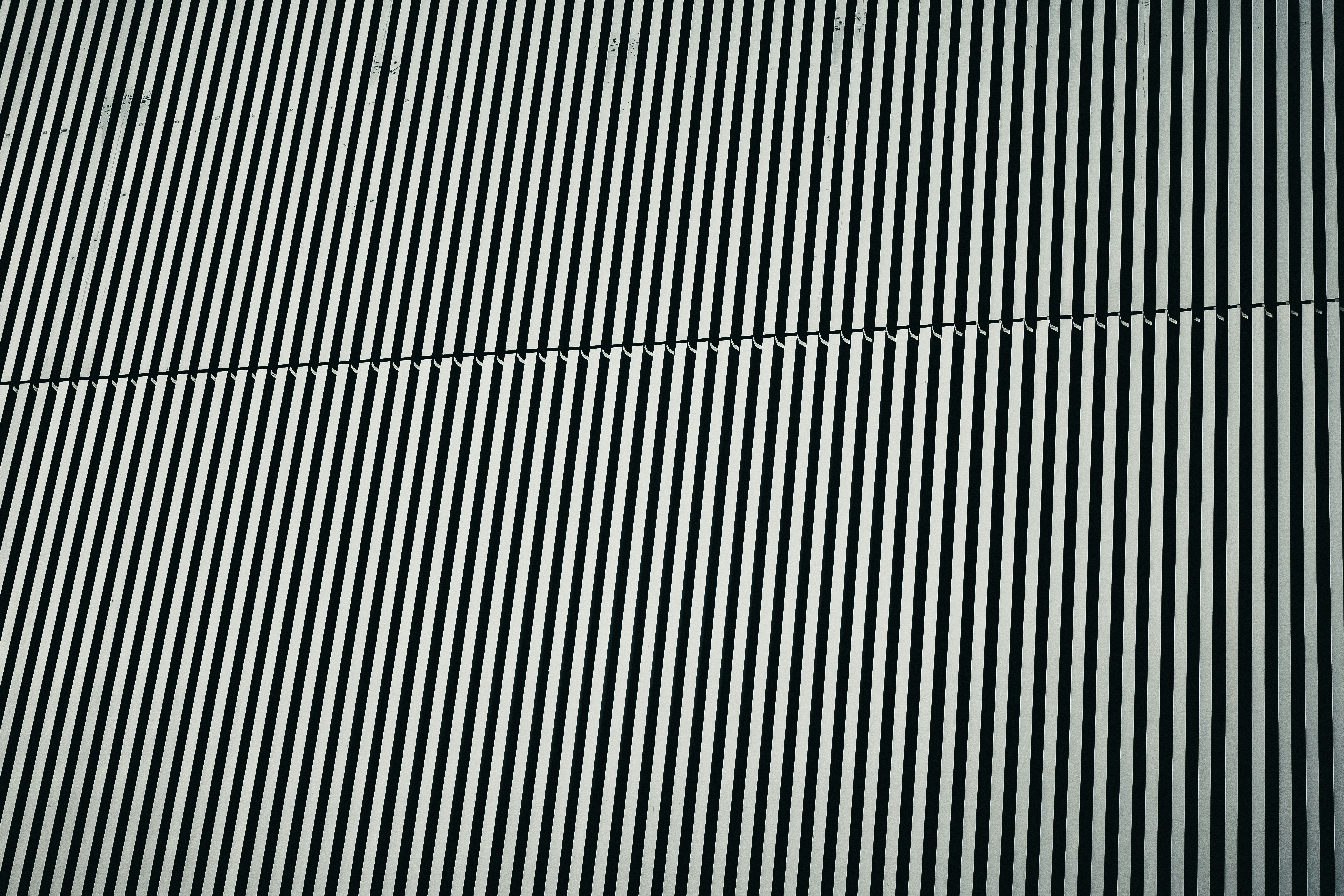 Photo by jadonjohnson