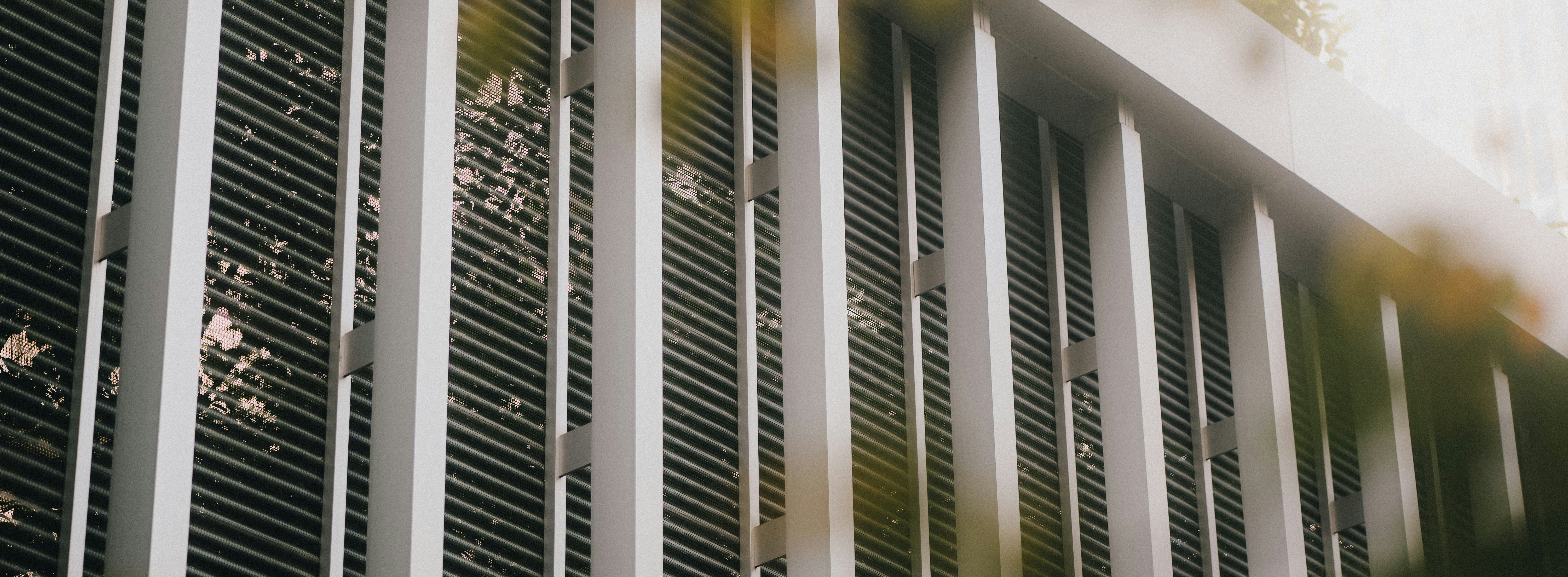 Photo by jadonjohnson