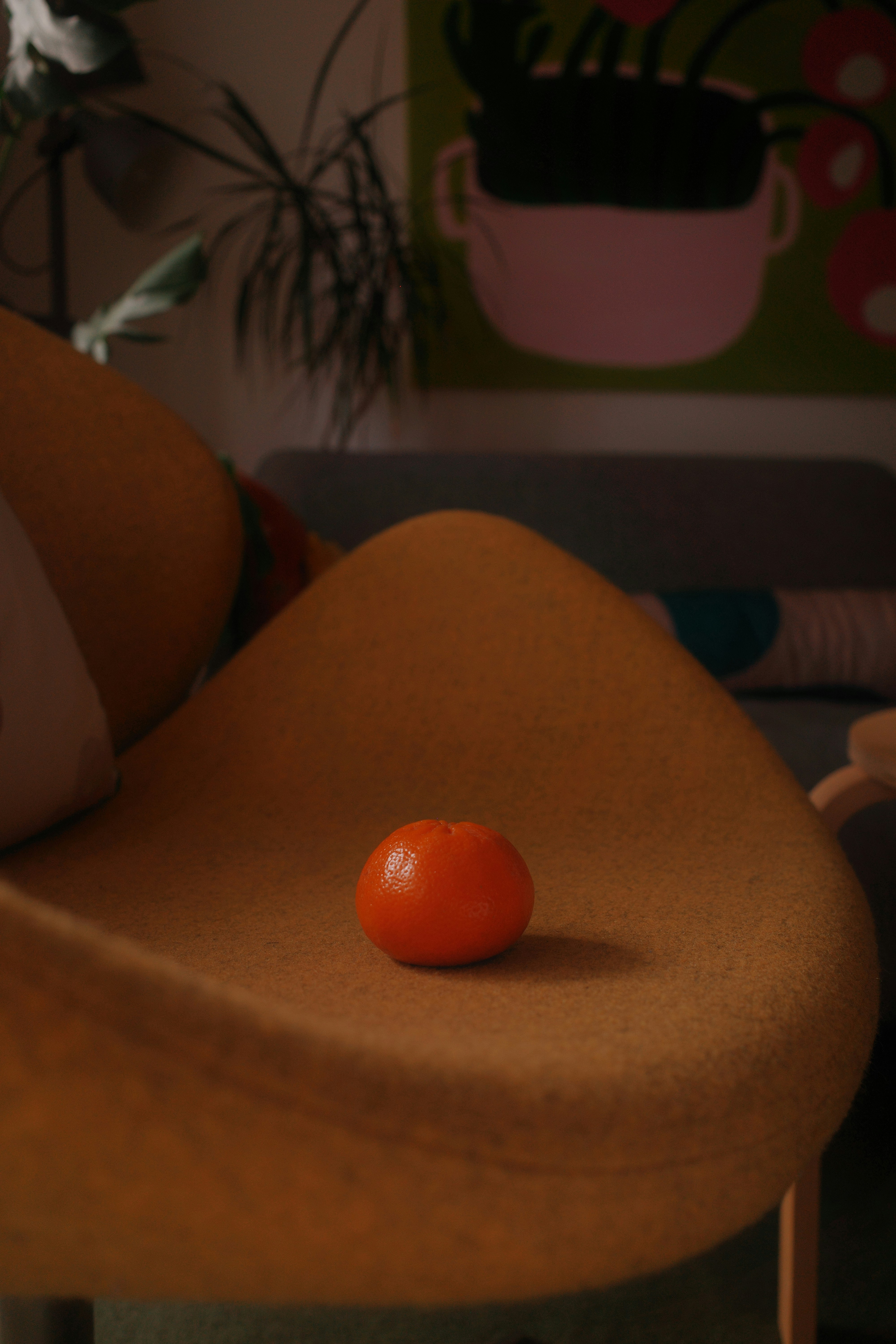 Photo by ilincaroman