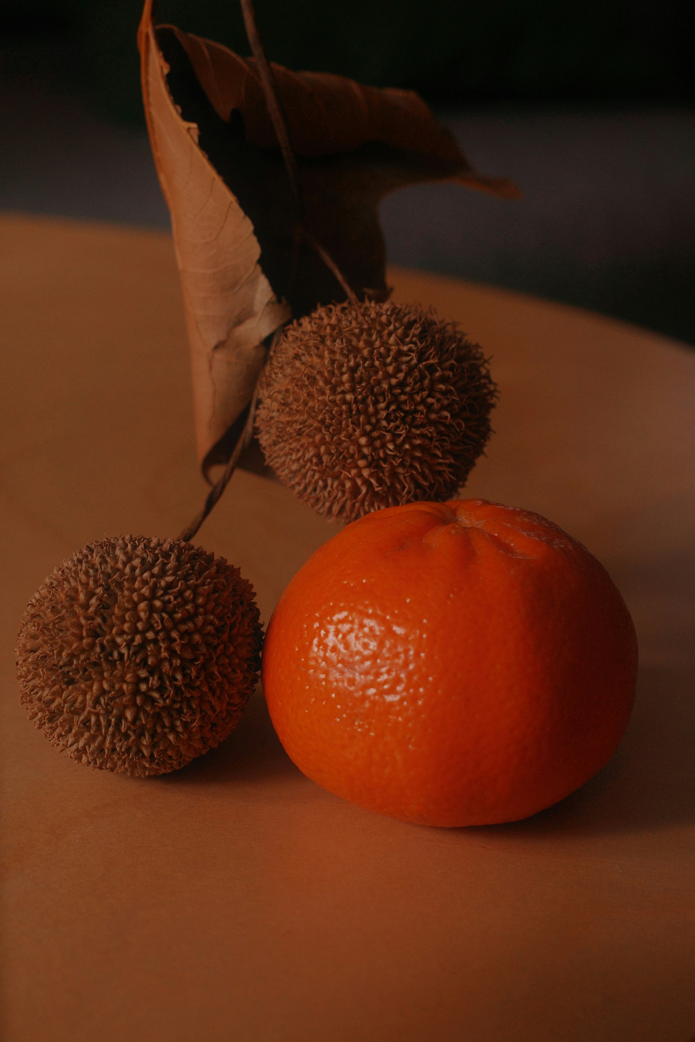 Orange and spiky seed pods on a wooden surface.