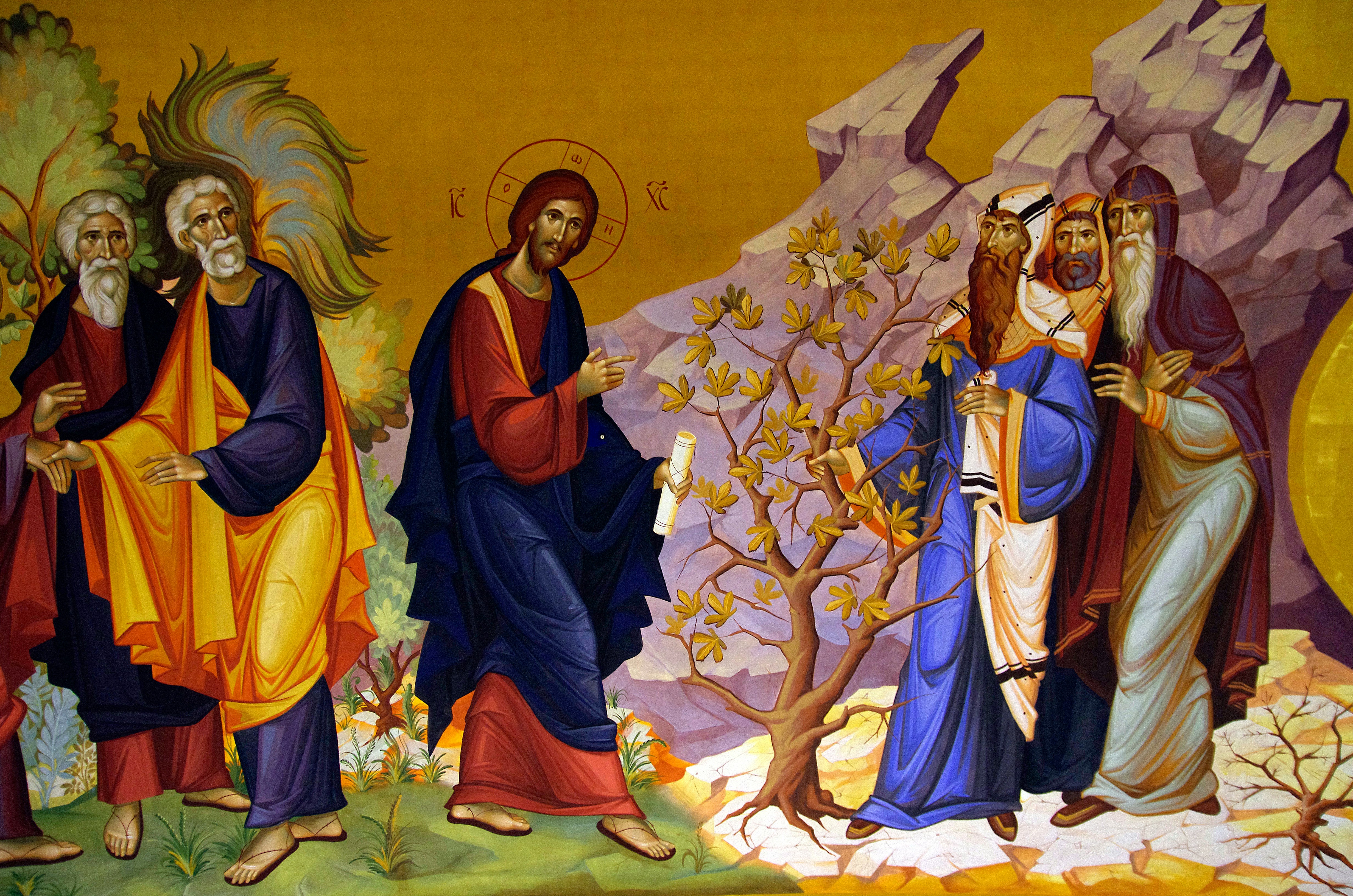 Photo by lotharborispiltz