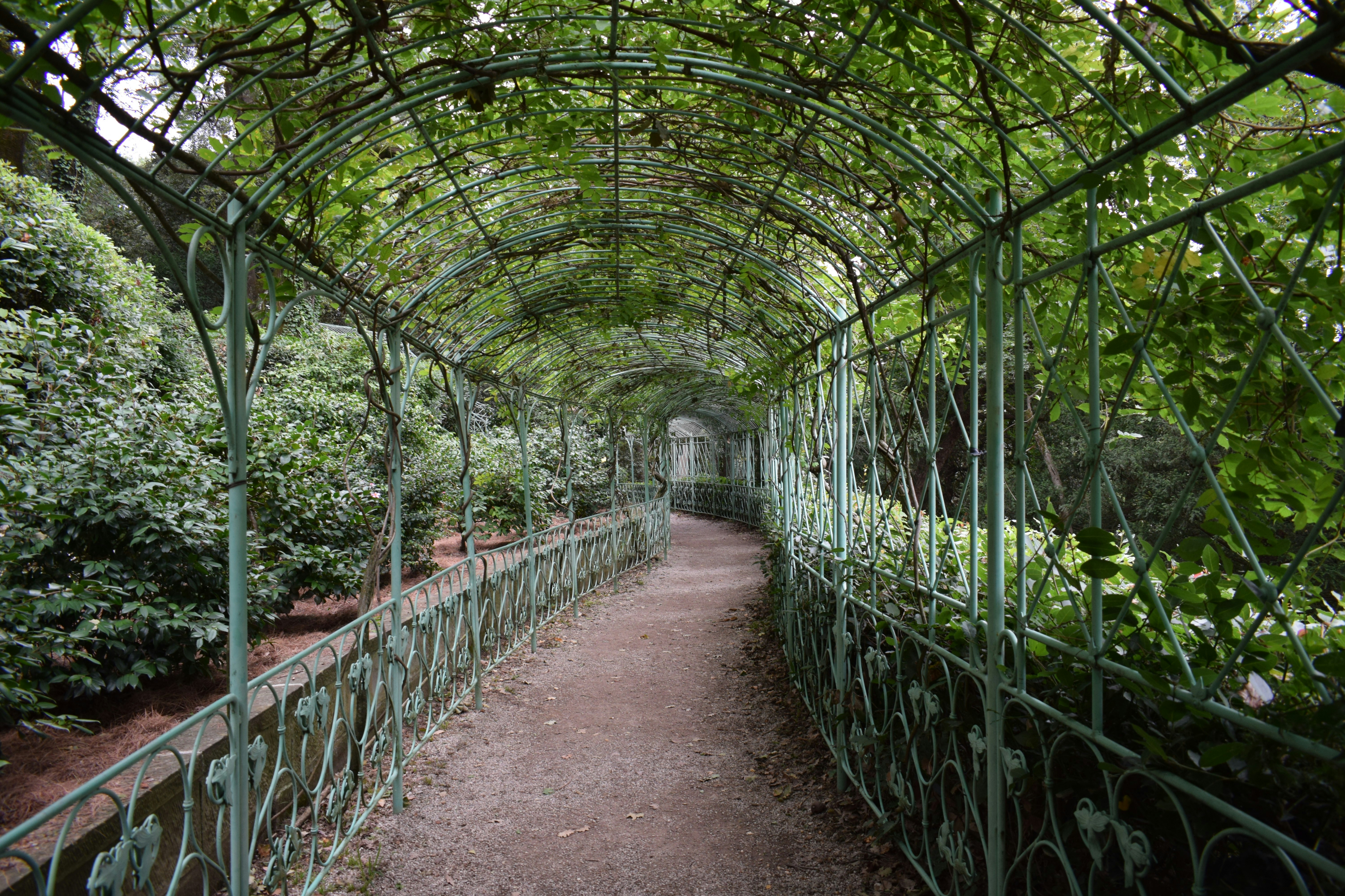 Photo by kristina001