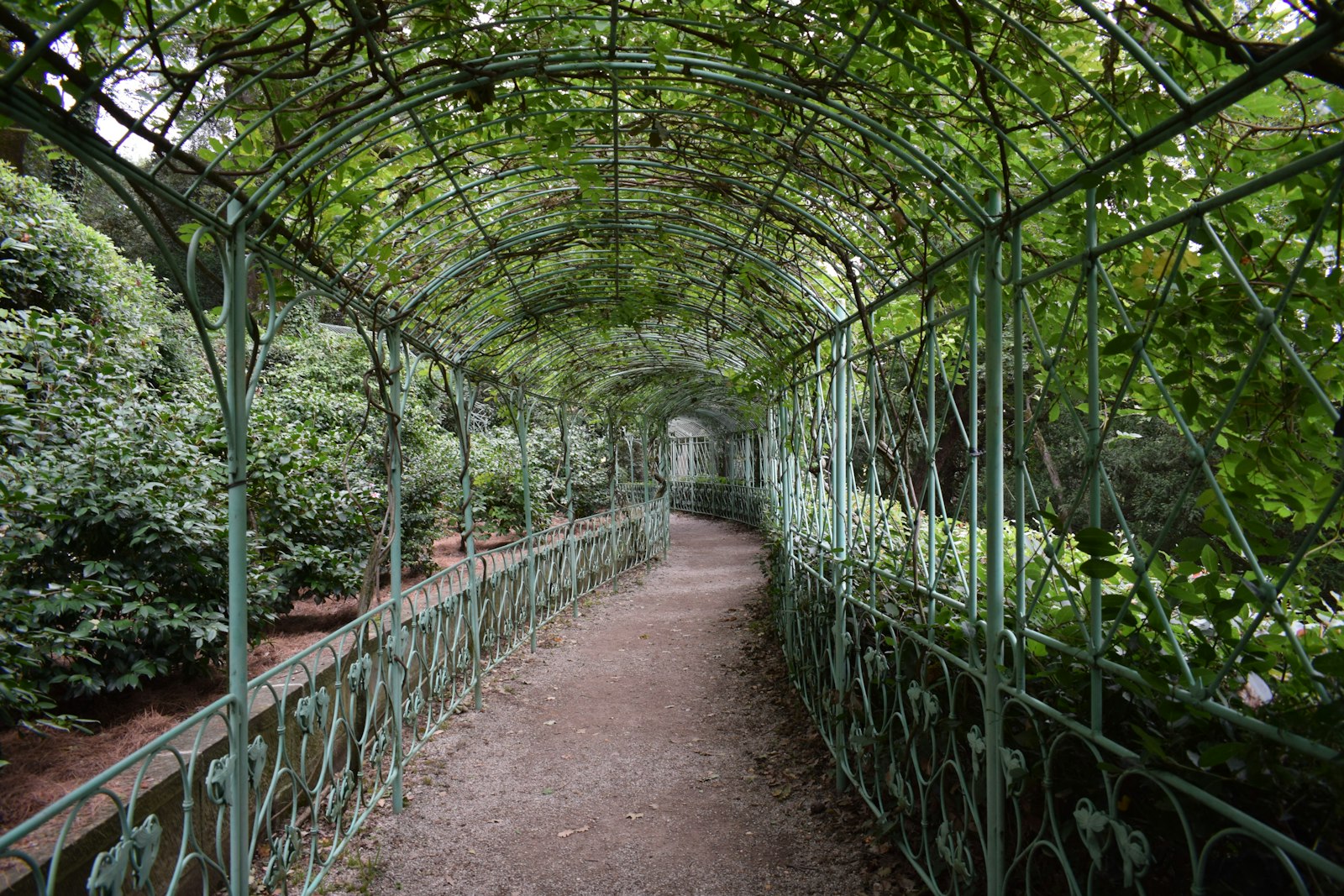Weelderige groene tuin met tuinpad in Utrecht