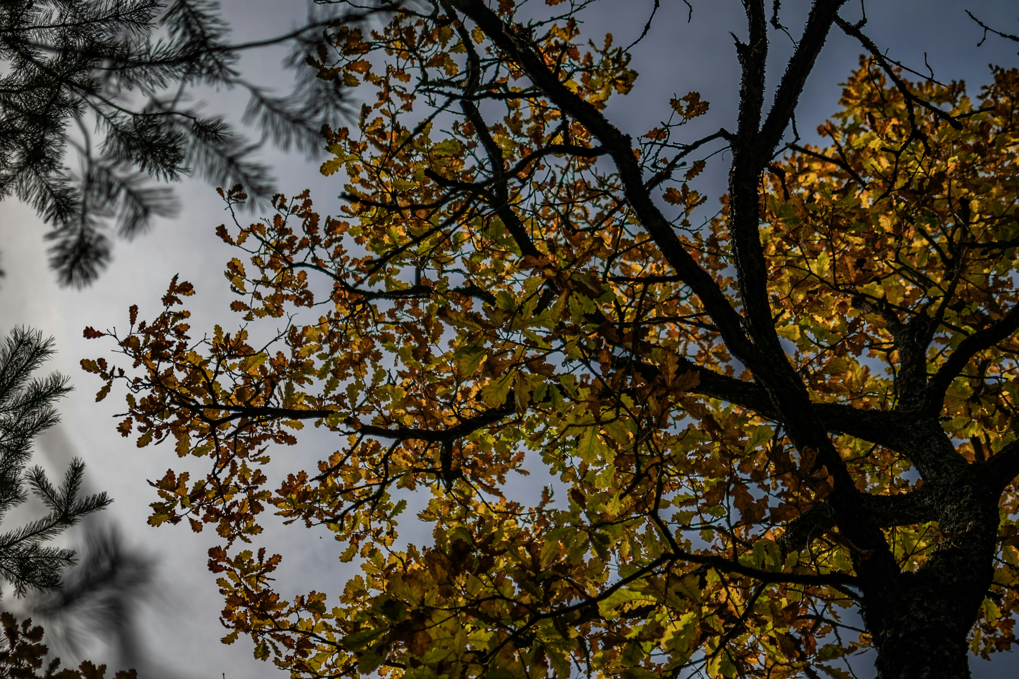 Photo by andrilliardbond