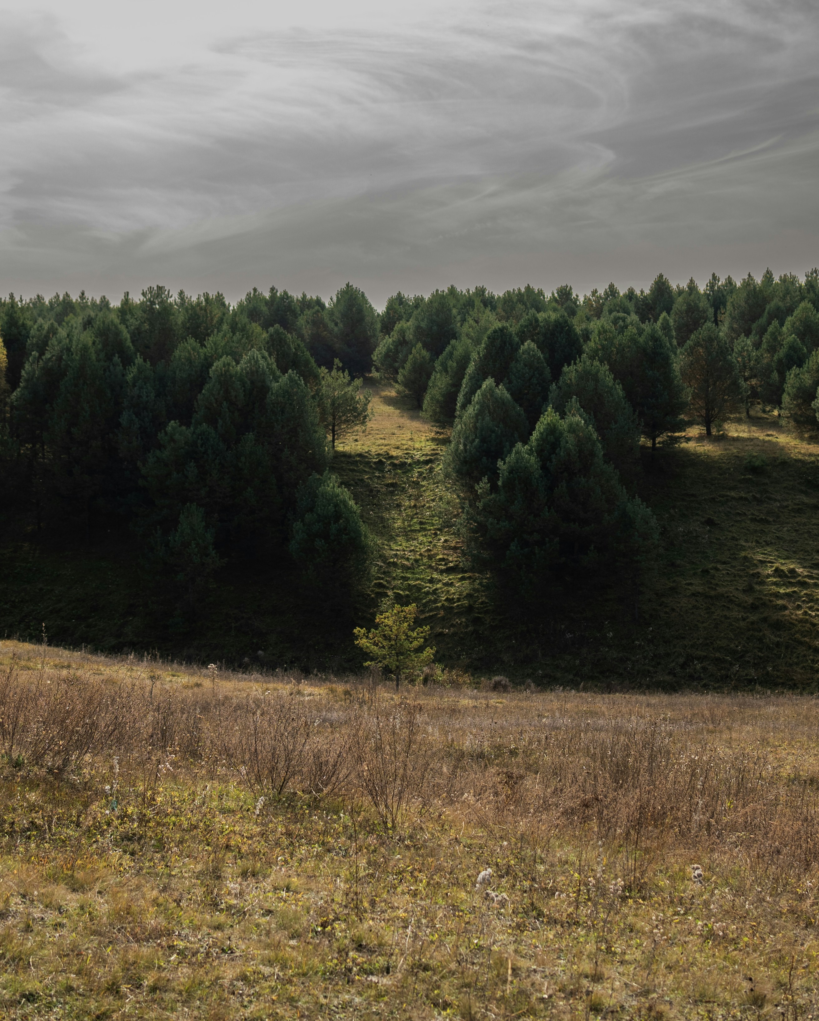 Photo by andrilliardbond