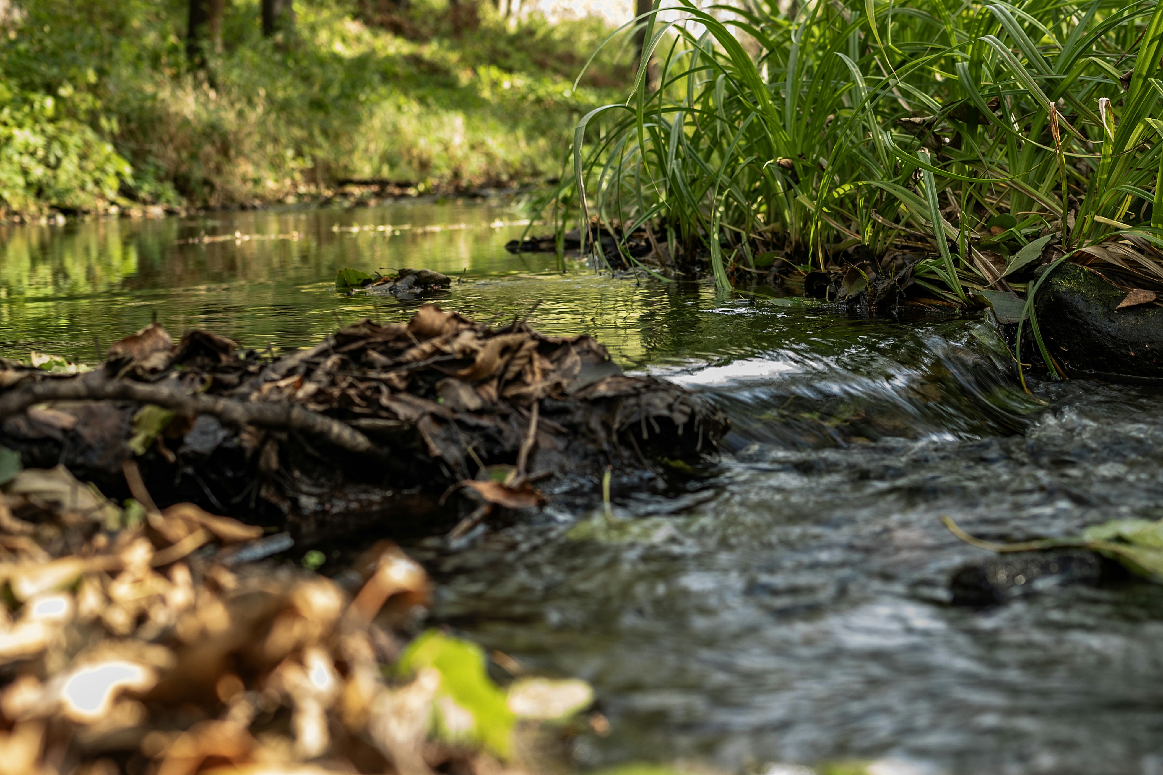 Photo by andrilliardbond