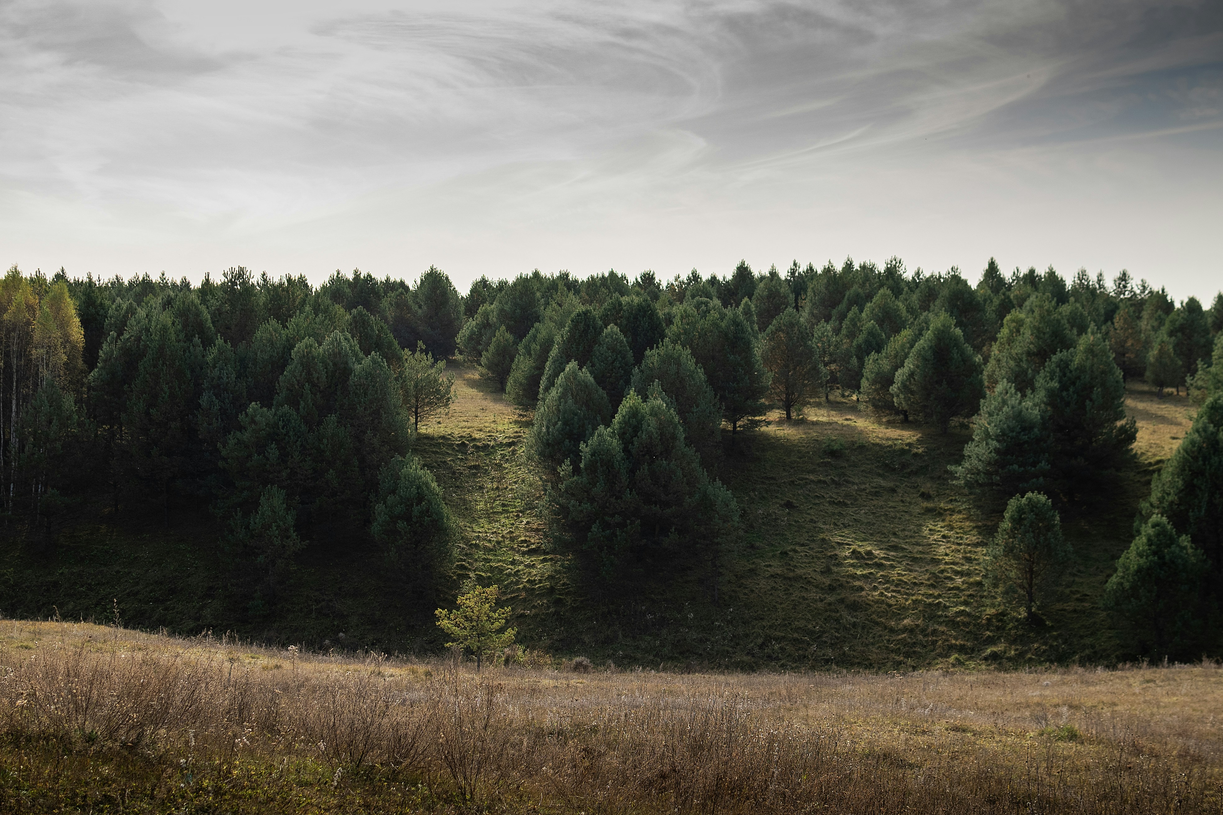 Photo by andrilliardbond