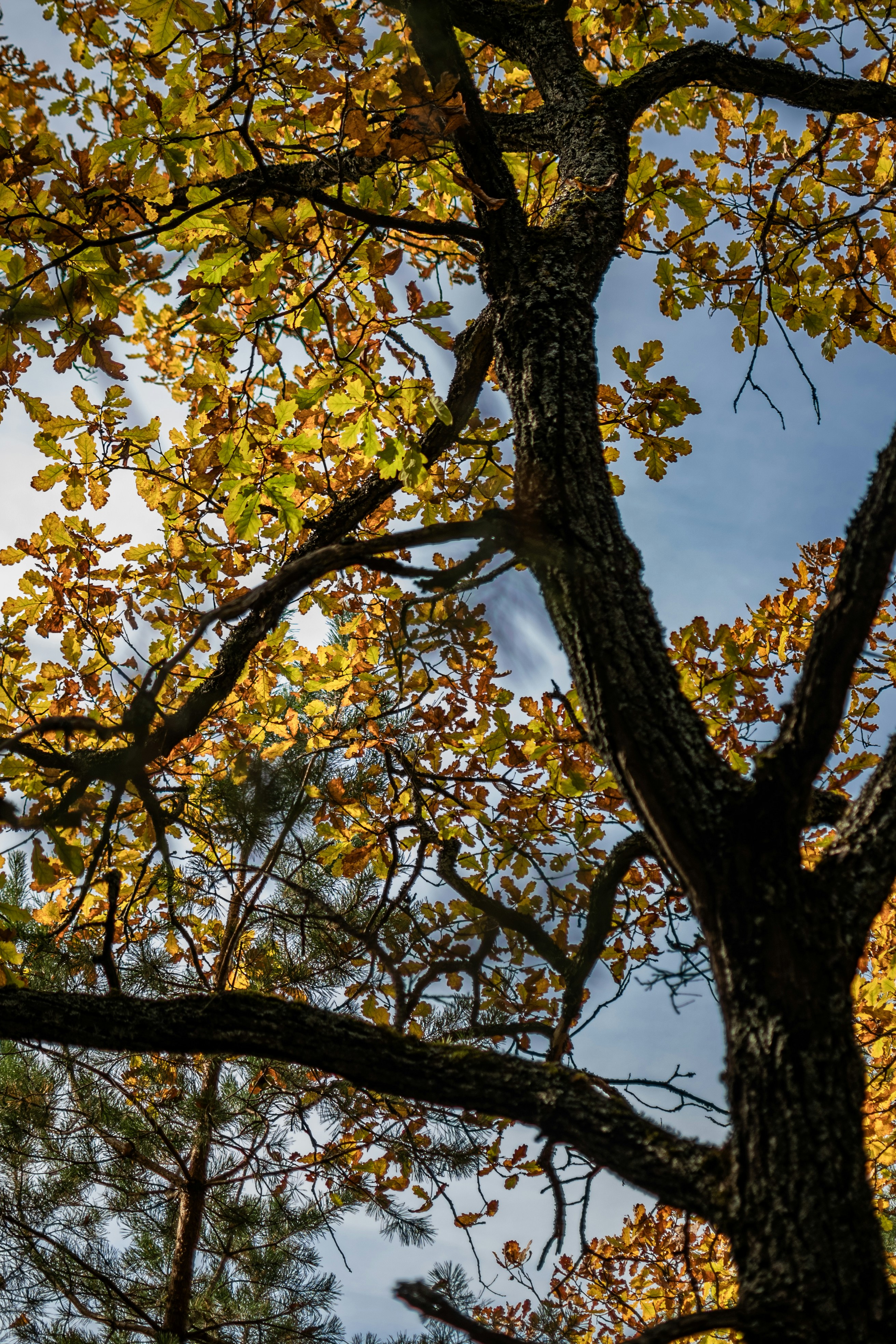 Photo by andrilliardbond