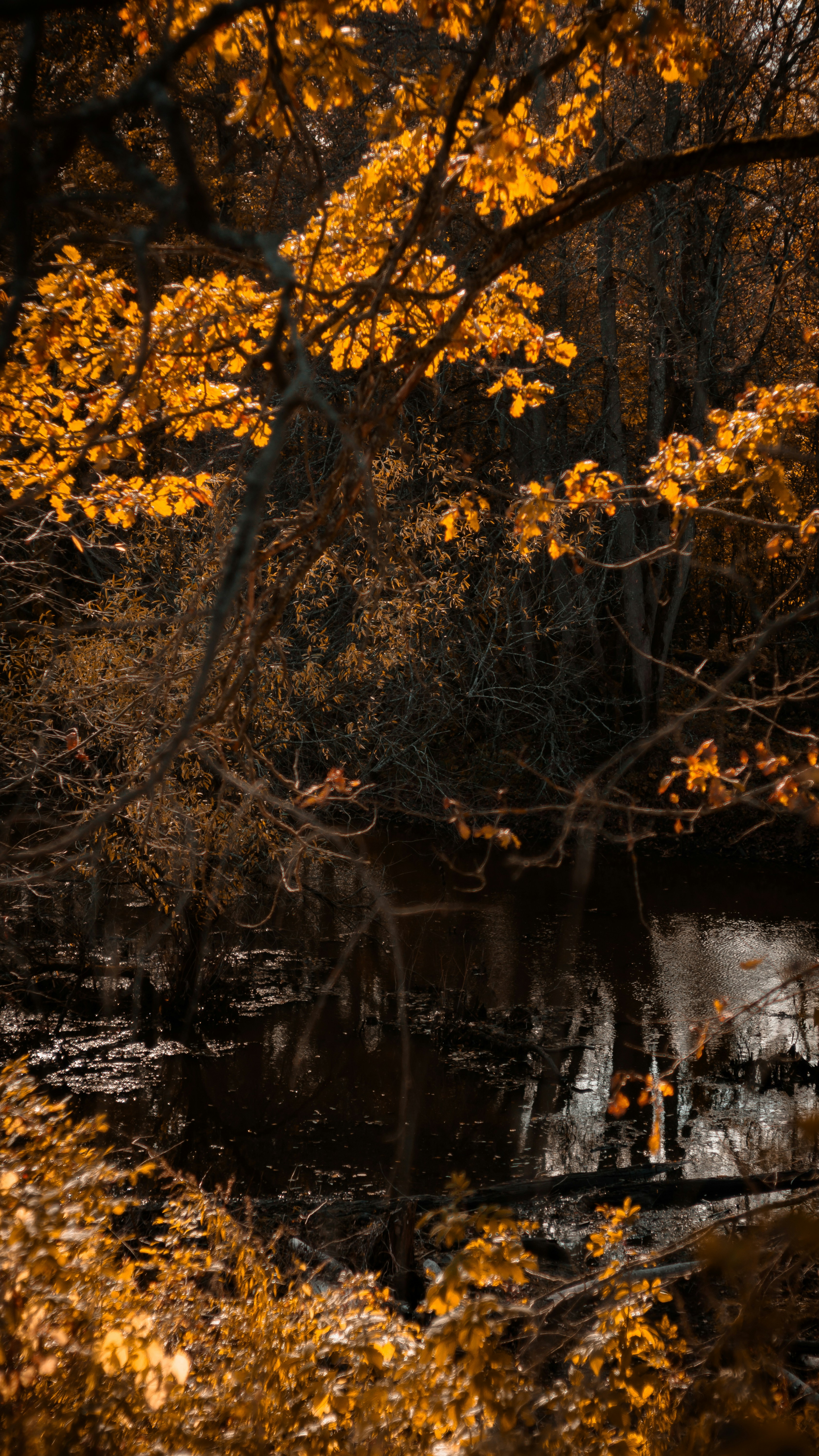 Photo by hodderphotos