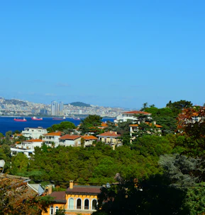Coastal city with houses and boats on water.