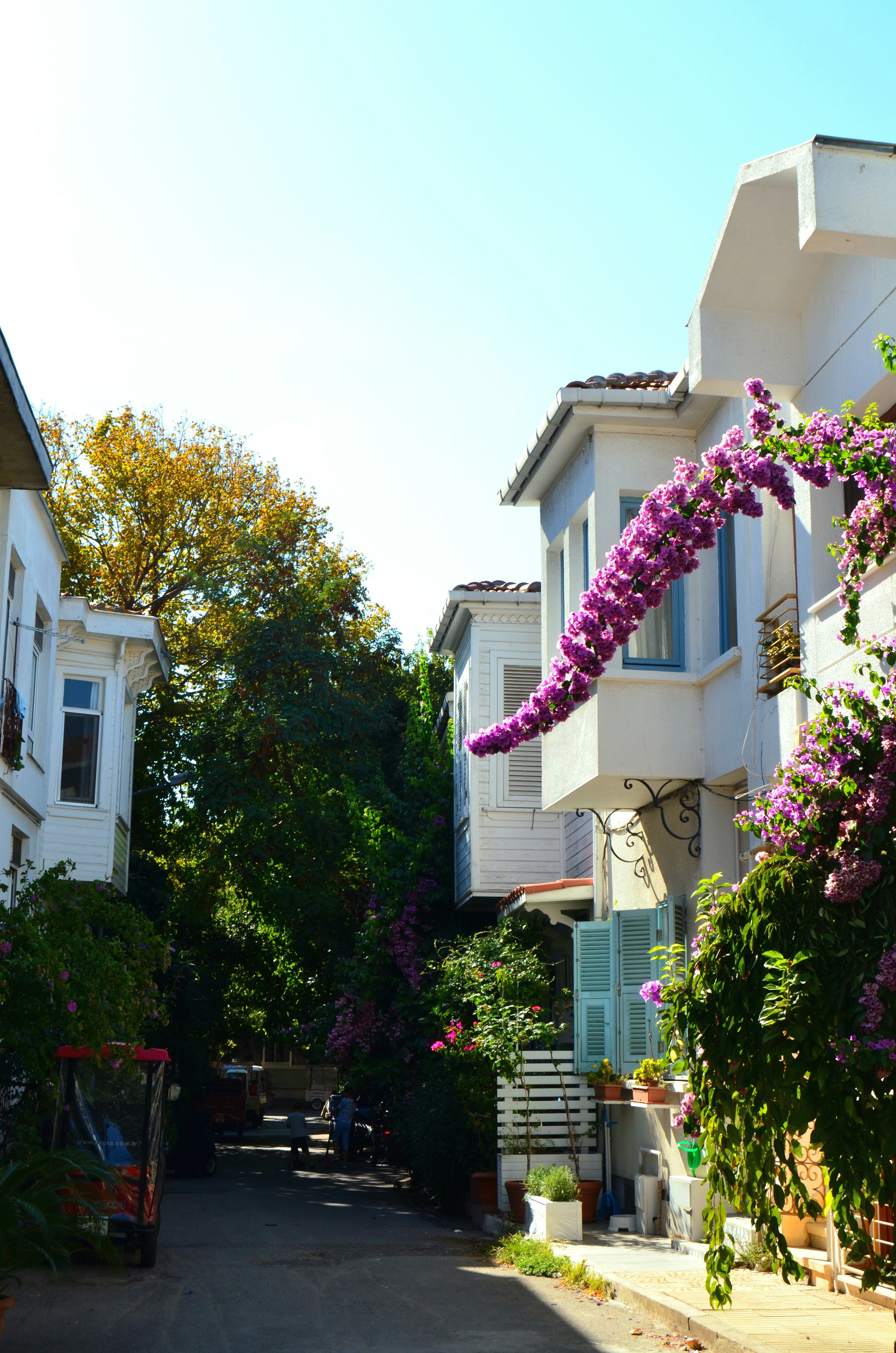 Yazlık Ev Taşıma