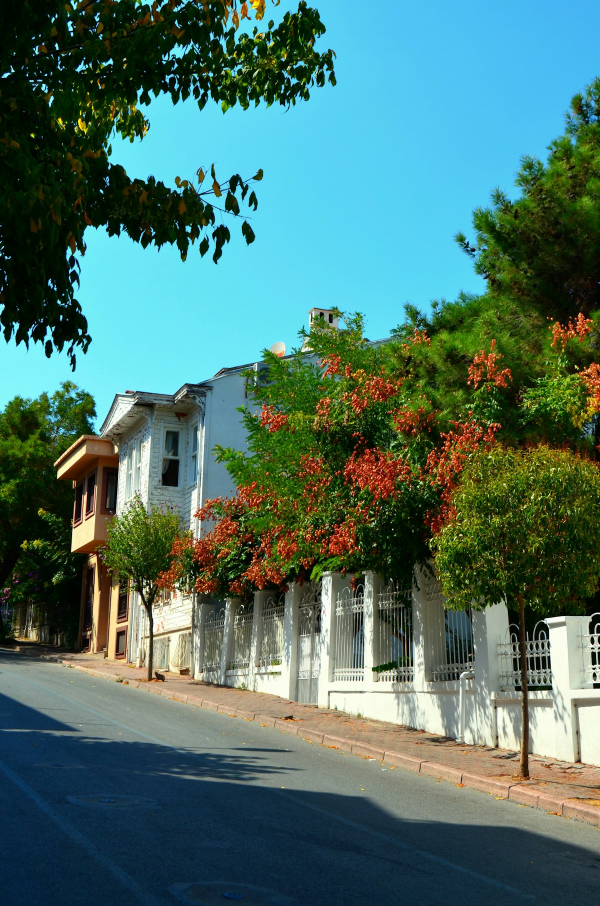 Pest control Burns Park Ann Arbor MI residential street