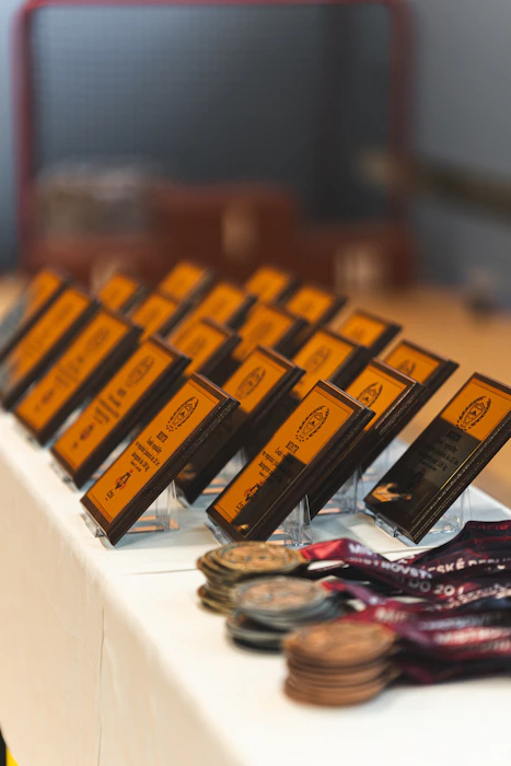 School Achievement Medal