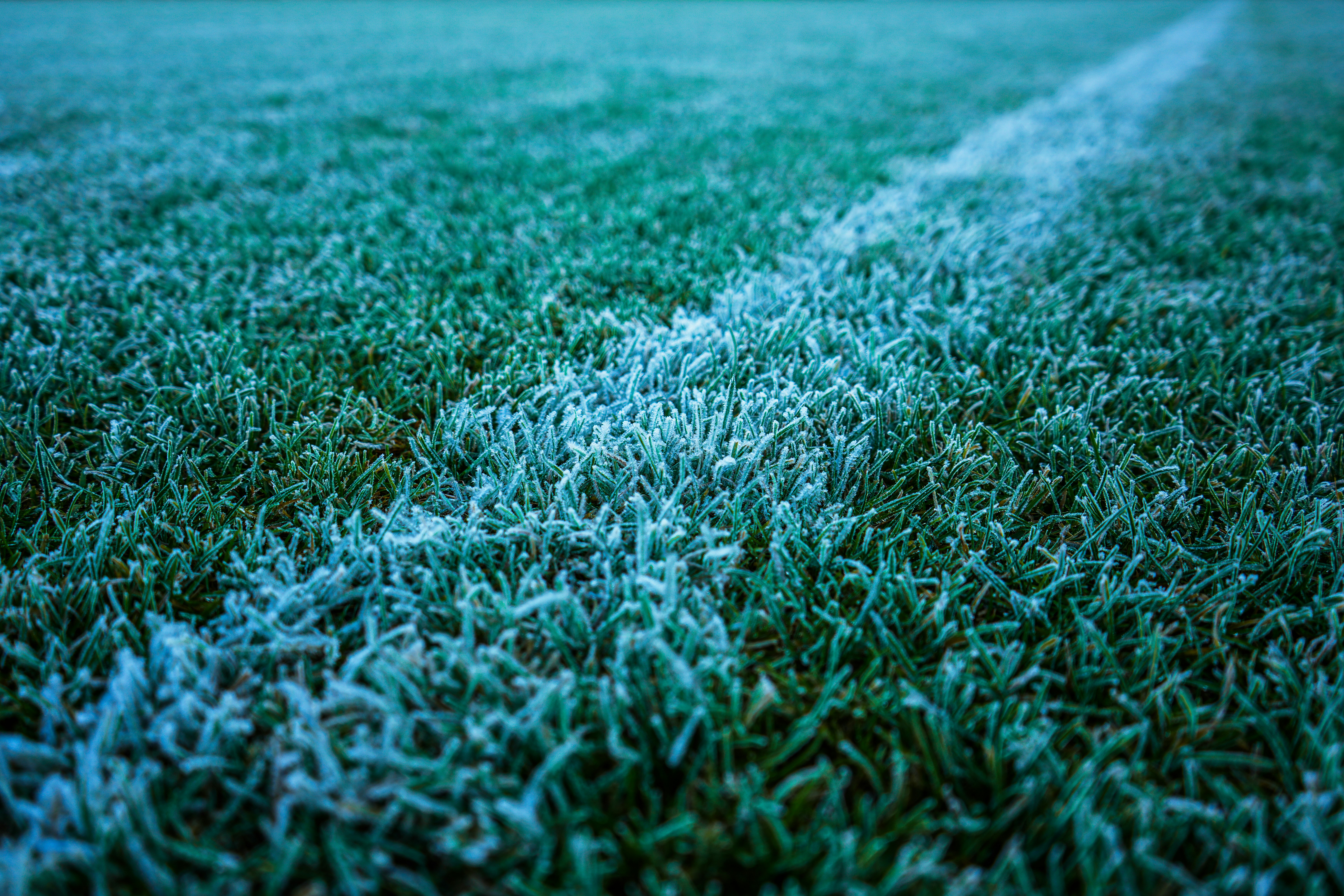 Watering lawn grass for seasonal care