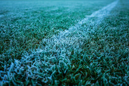 Frosty grass with a white line on a field