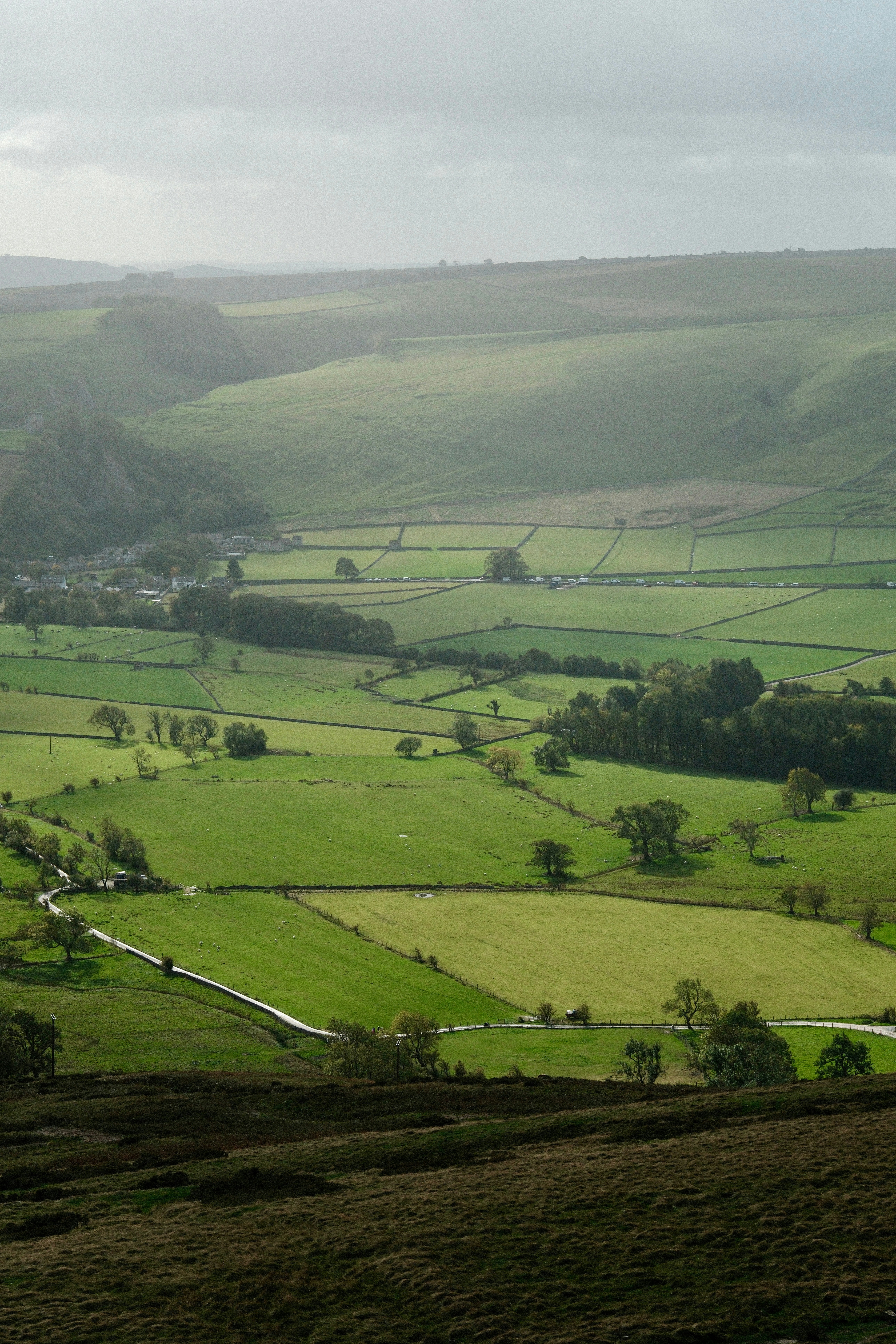 Photo by alekseixagafonov