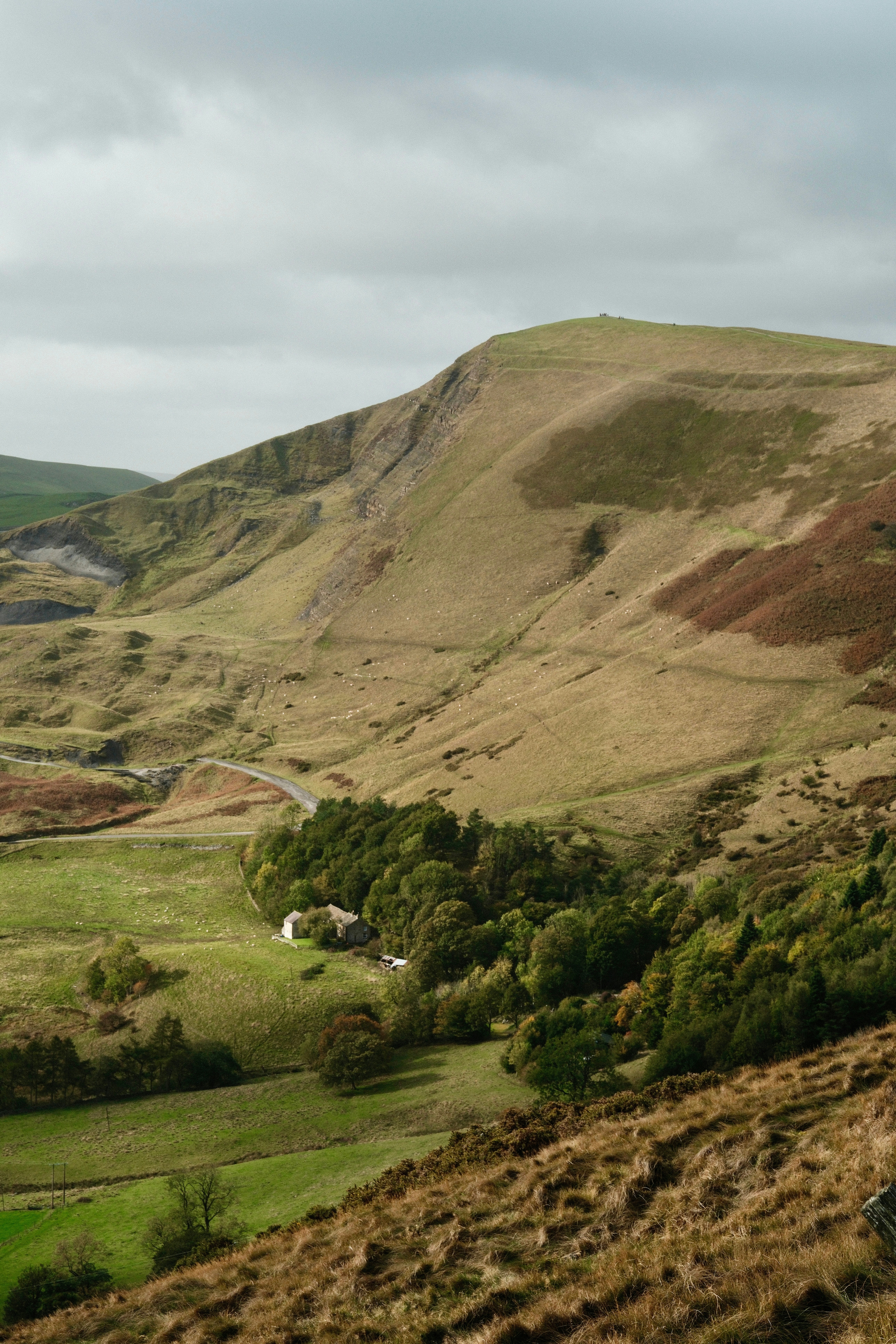 Photo by alekseixagafonov