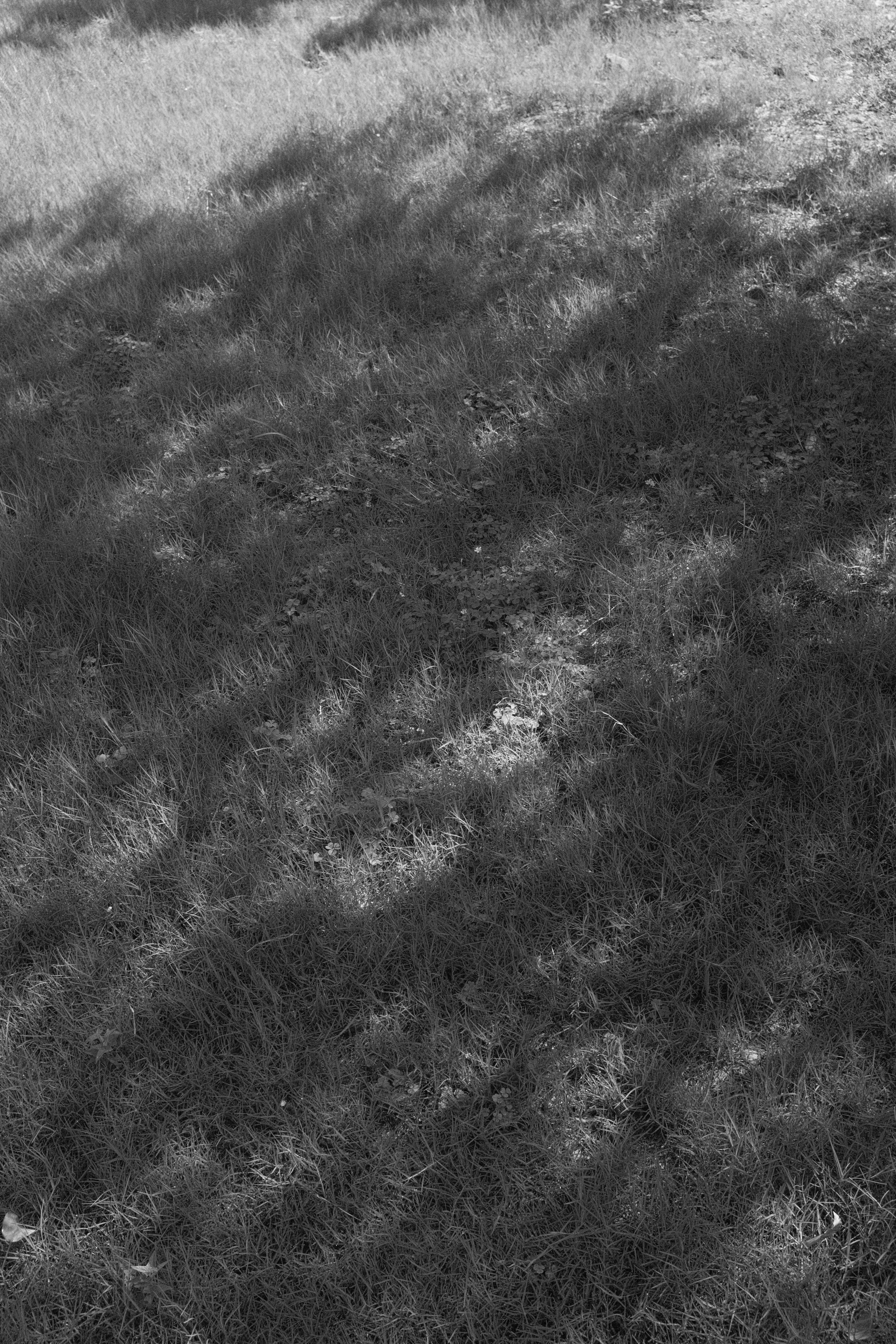 Photo by kennyzhang29