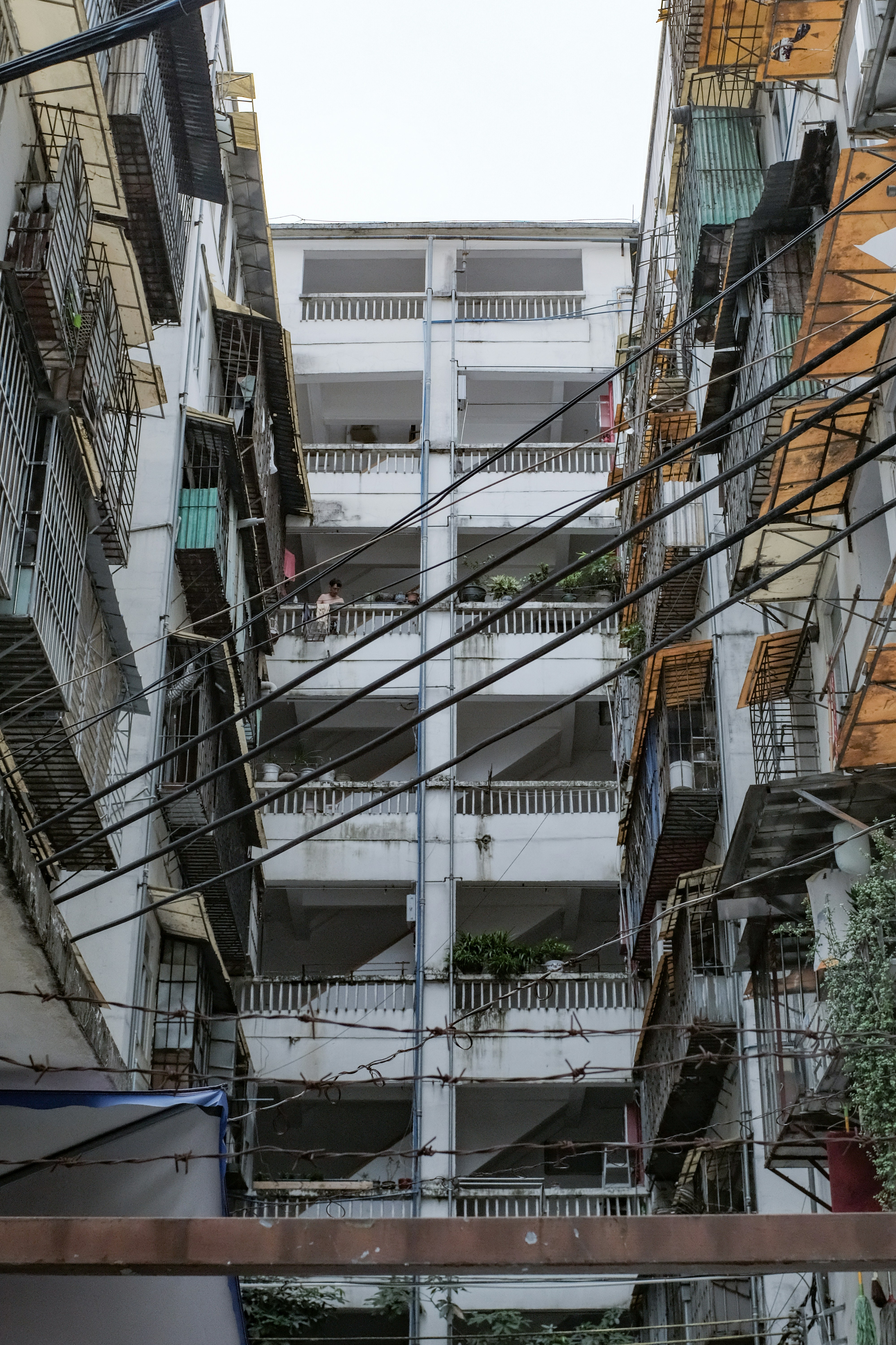 Photo by kennyzhang29