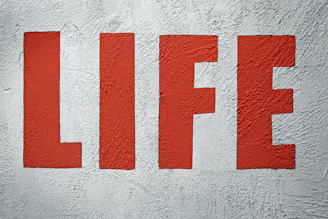 The word life painted in red on a textured wall.