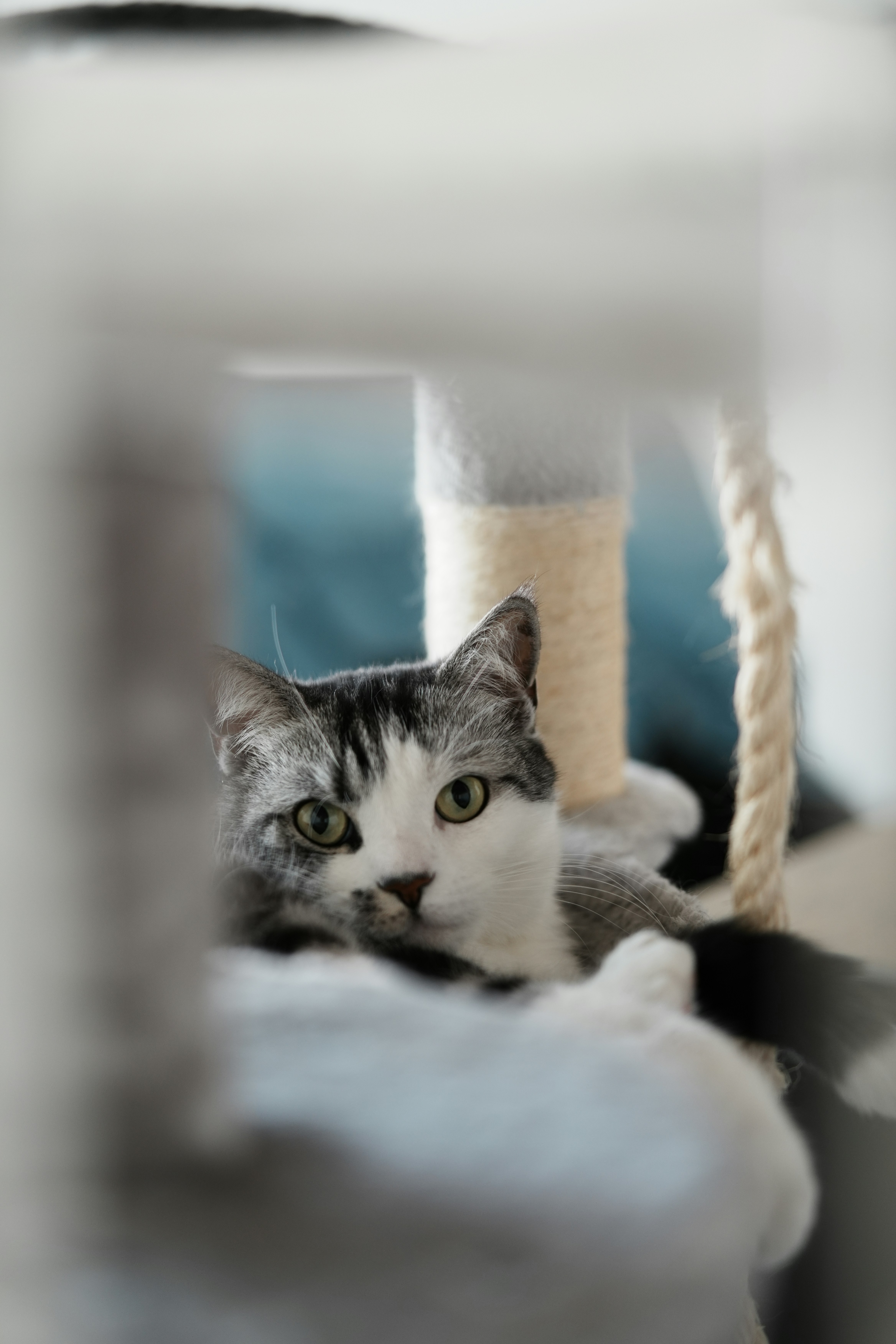 Photo by jincheng_1999