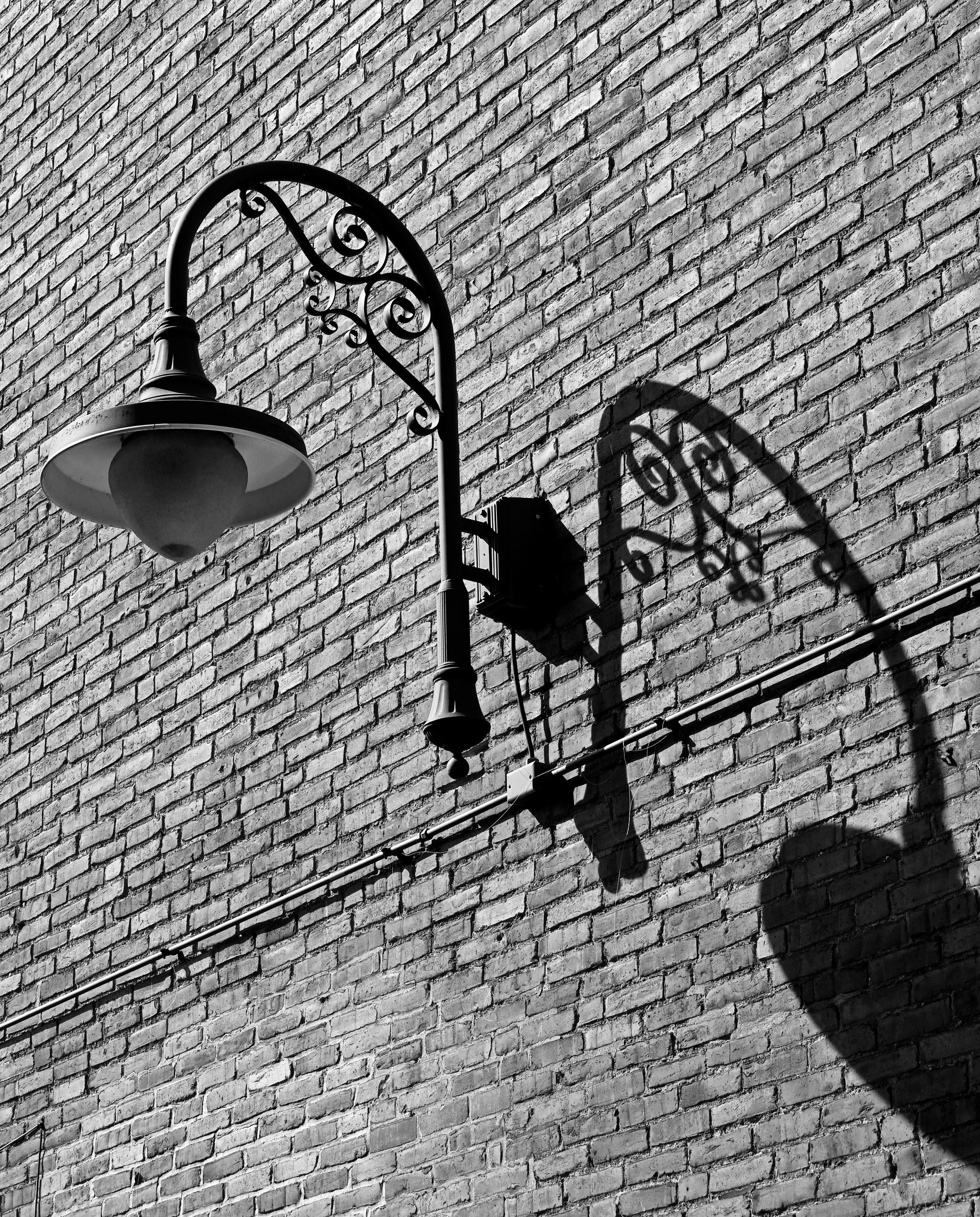 Photo by john_cardamone