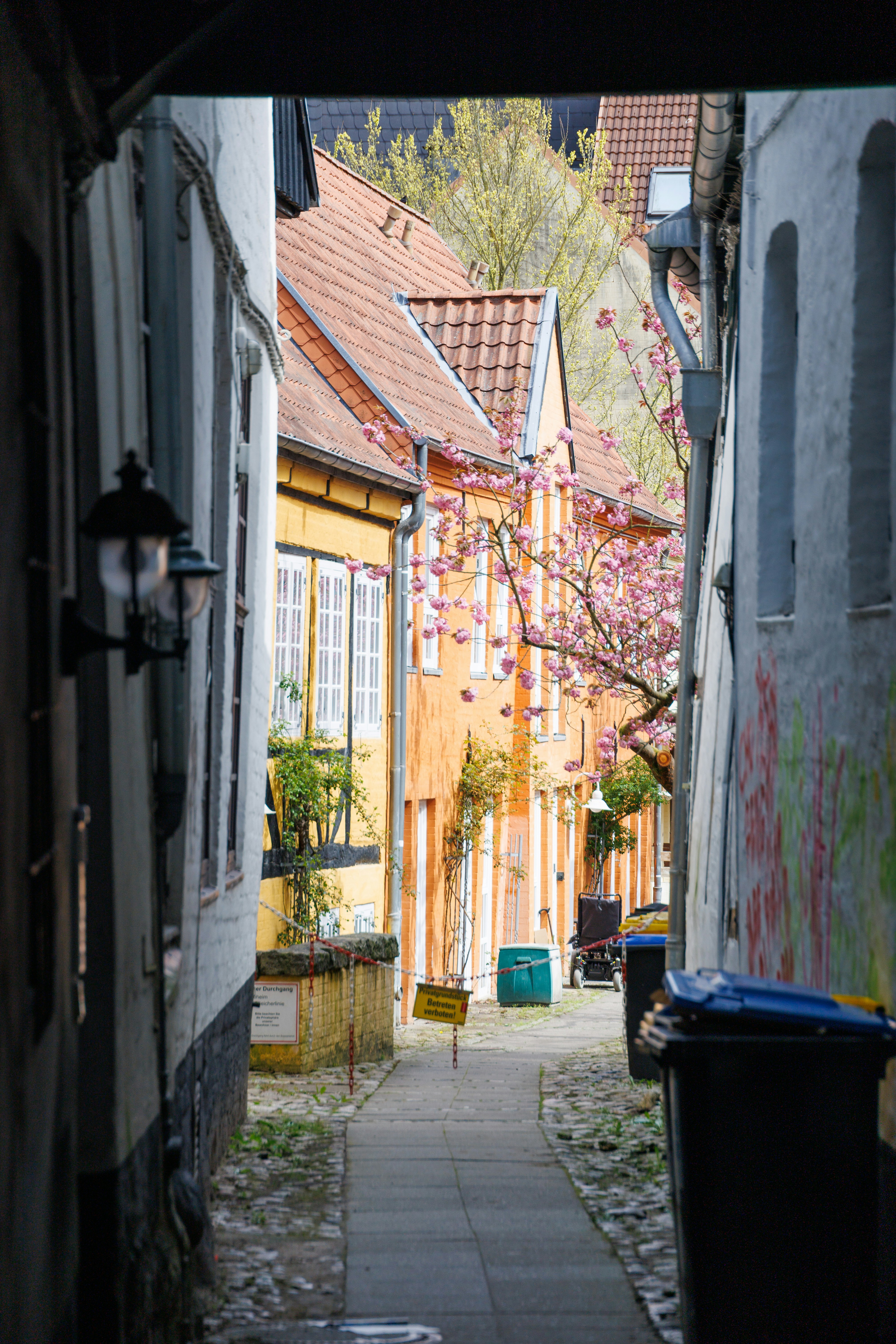 Photo by stockbirken