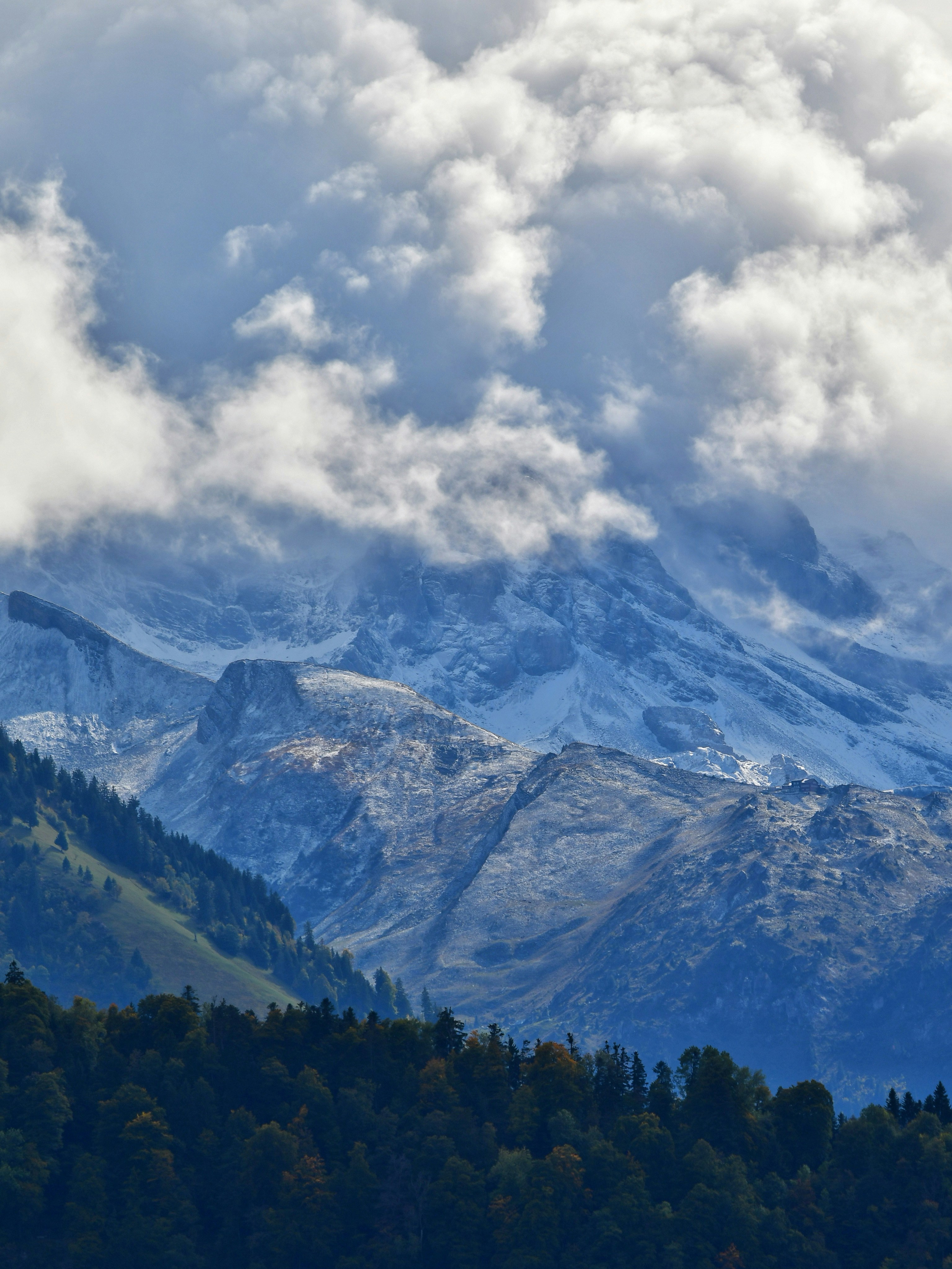 Photo by pedrino5_official