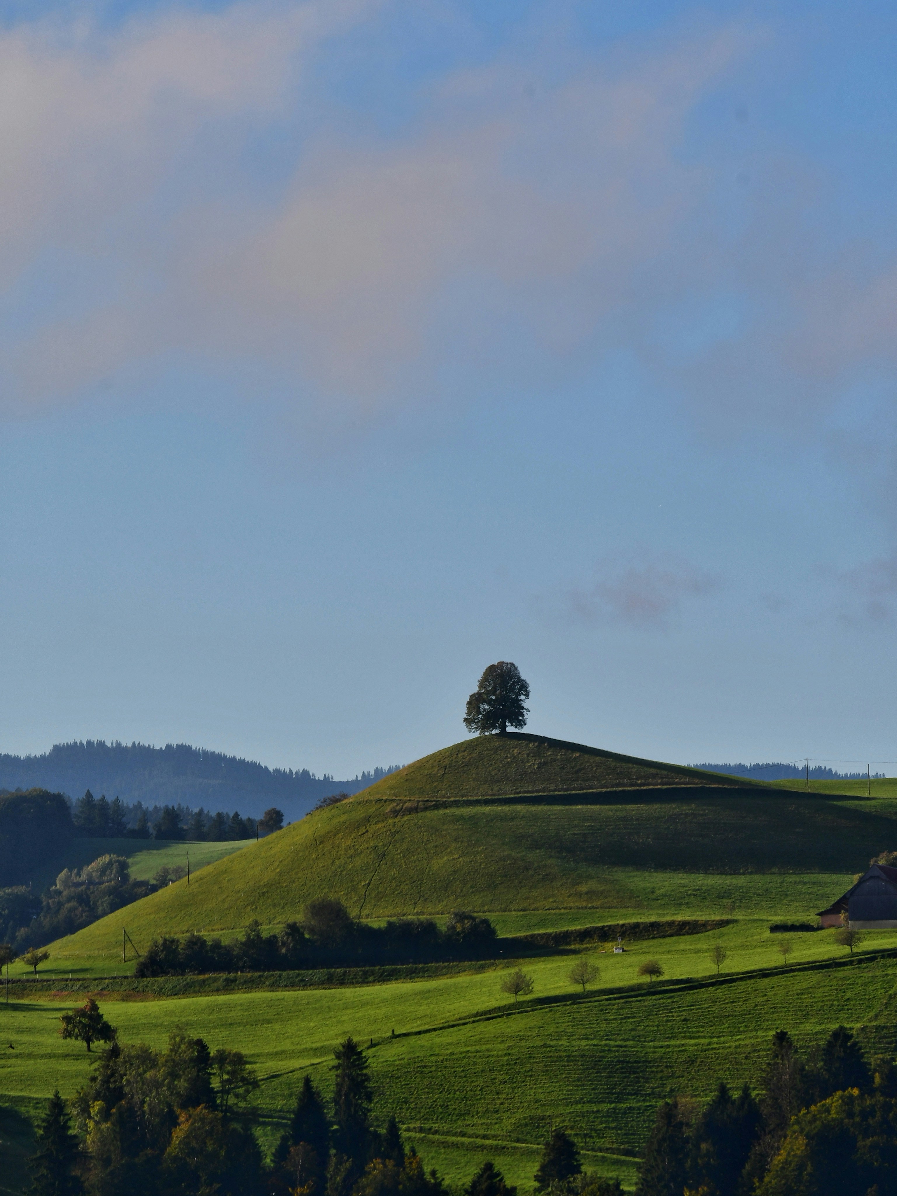 Photo by pedrino5_official