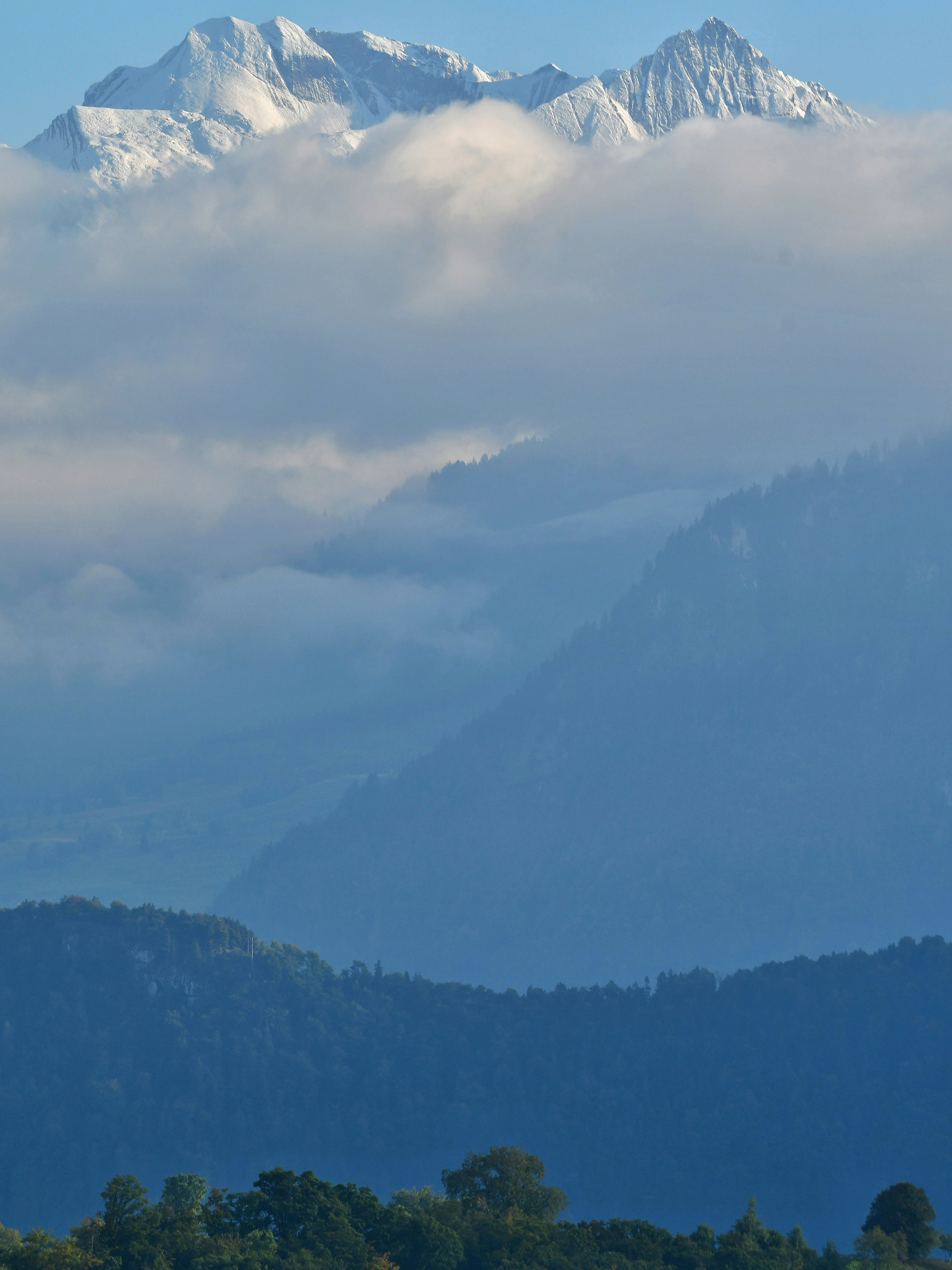 Photo by pedrino5_official