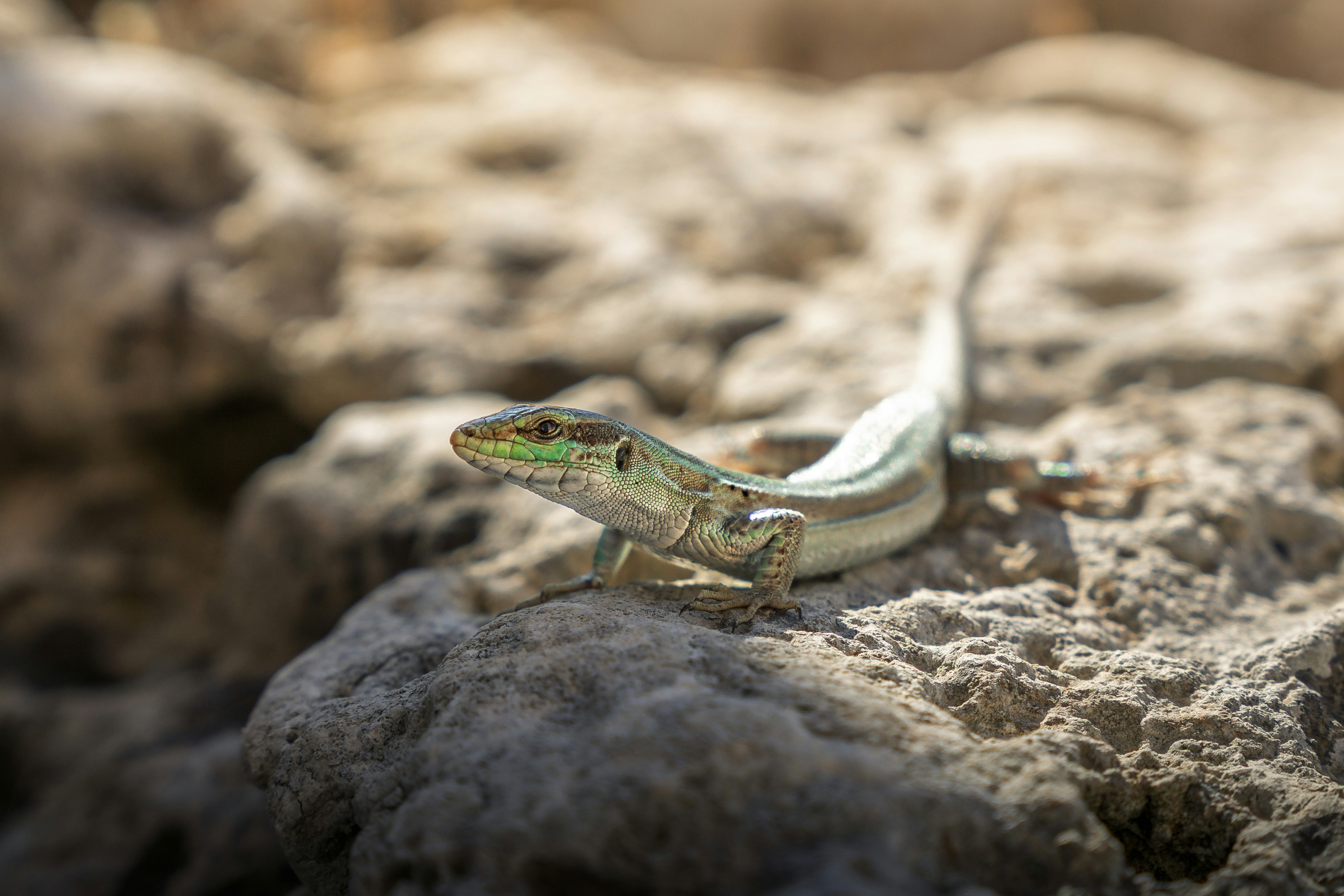 Photo by jonathan_rthg