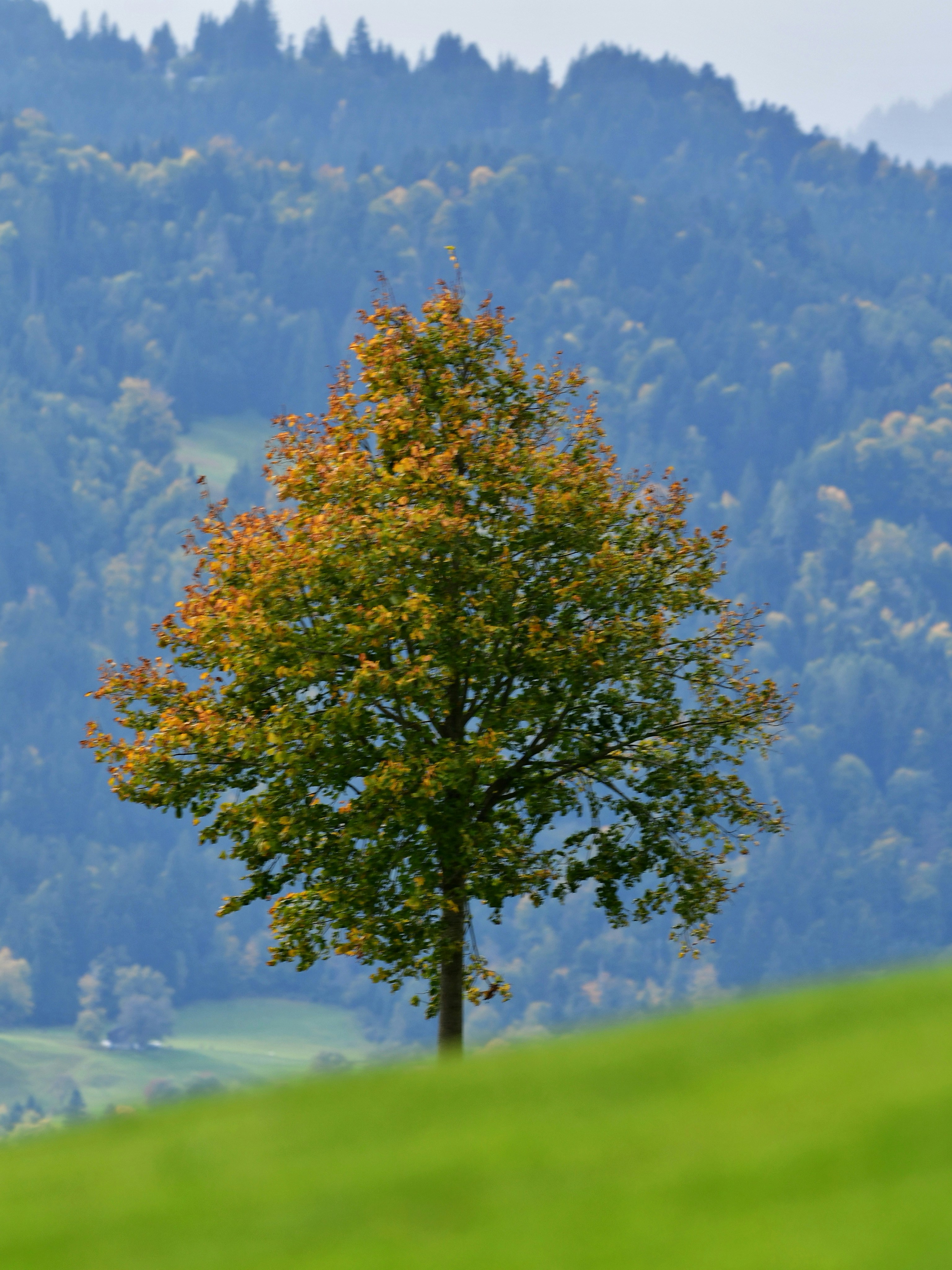 Photo by pedrino5_official