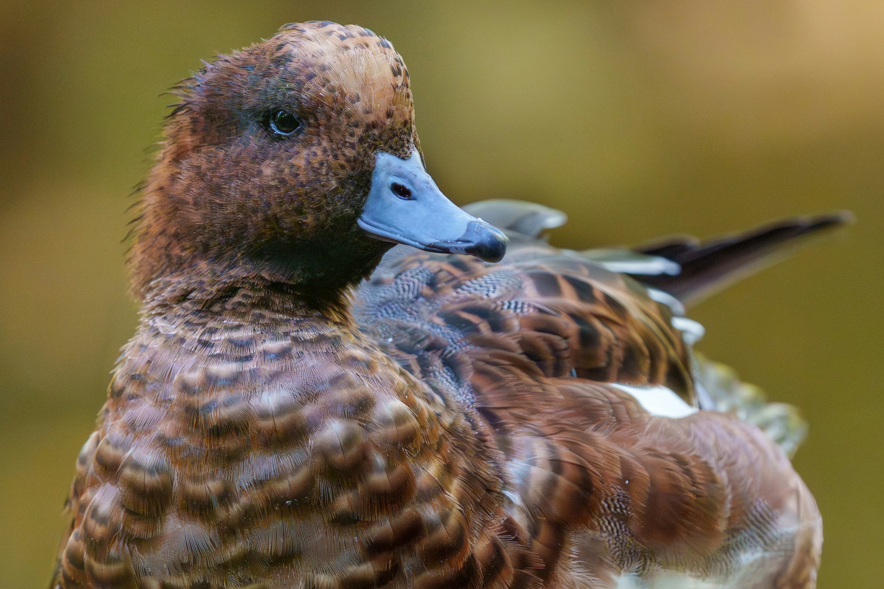 Photo by masoodaslami