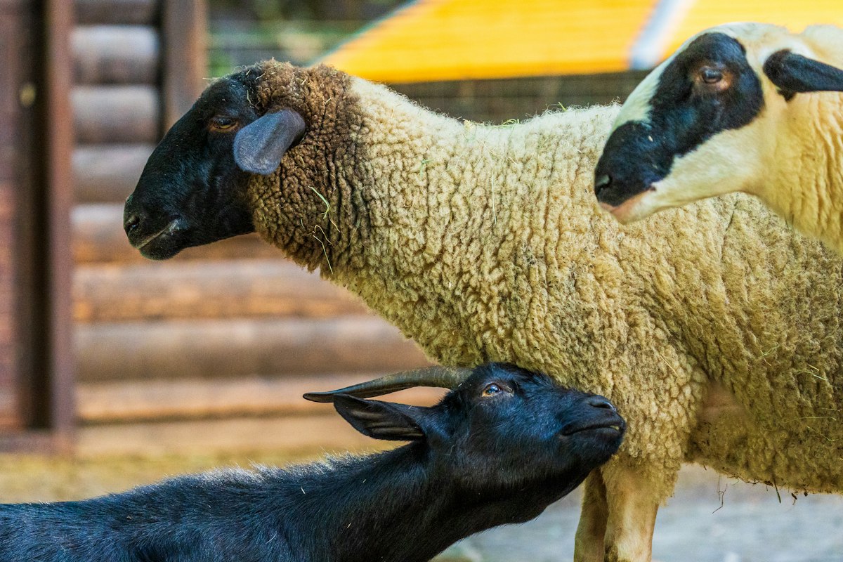 Boerderij ’t Geertje