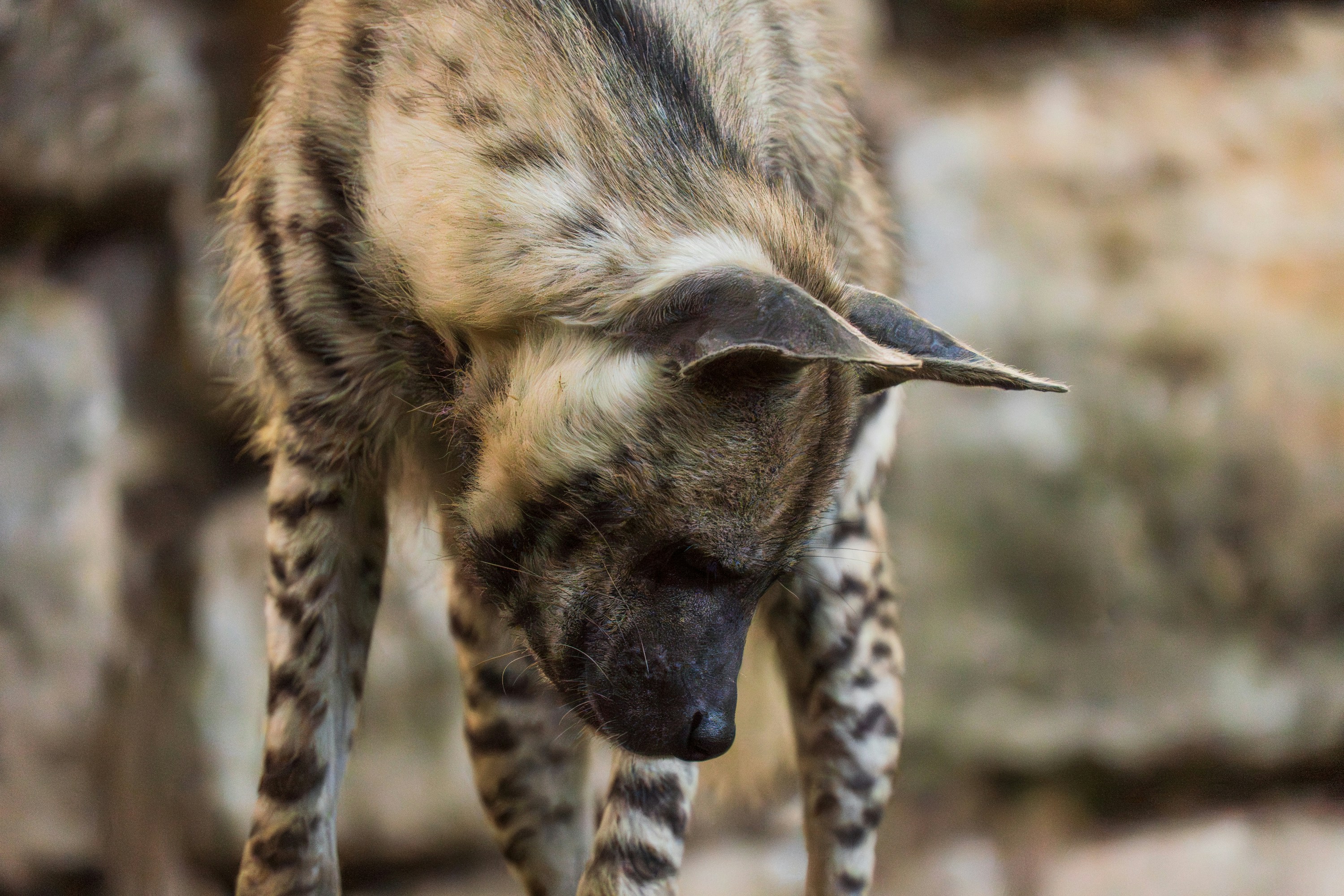 Photo by masoodaslami