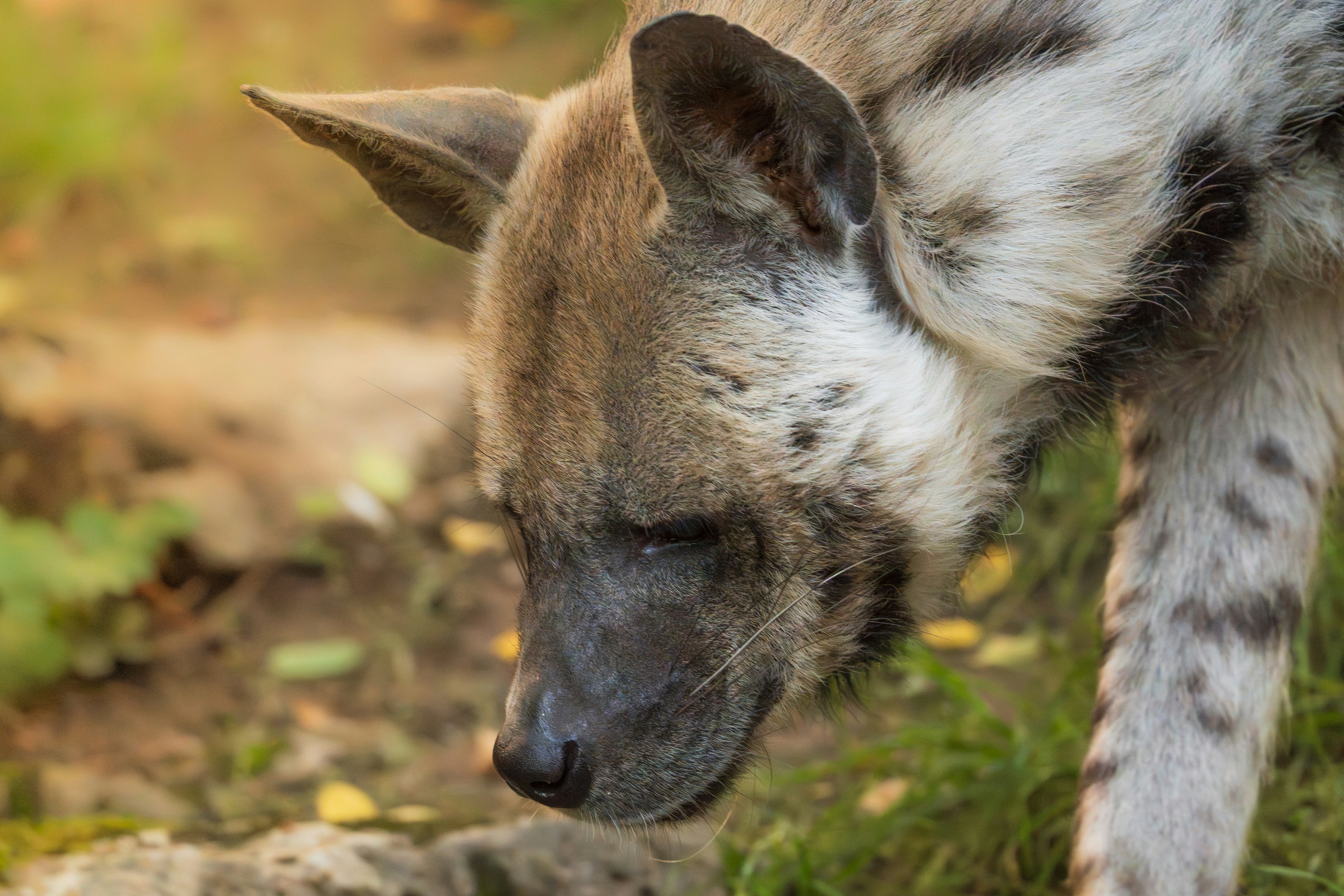 Photo by masoodaslami