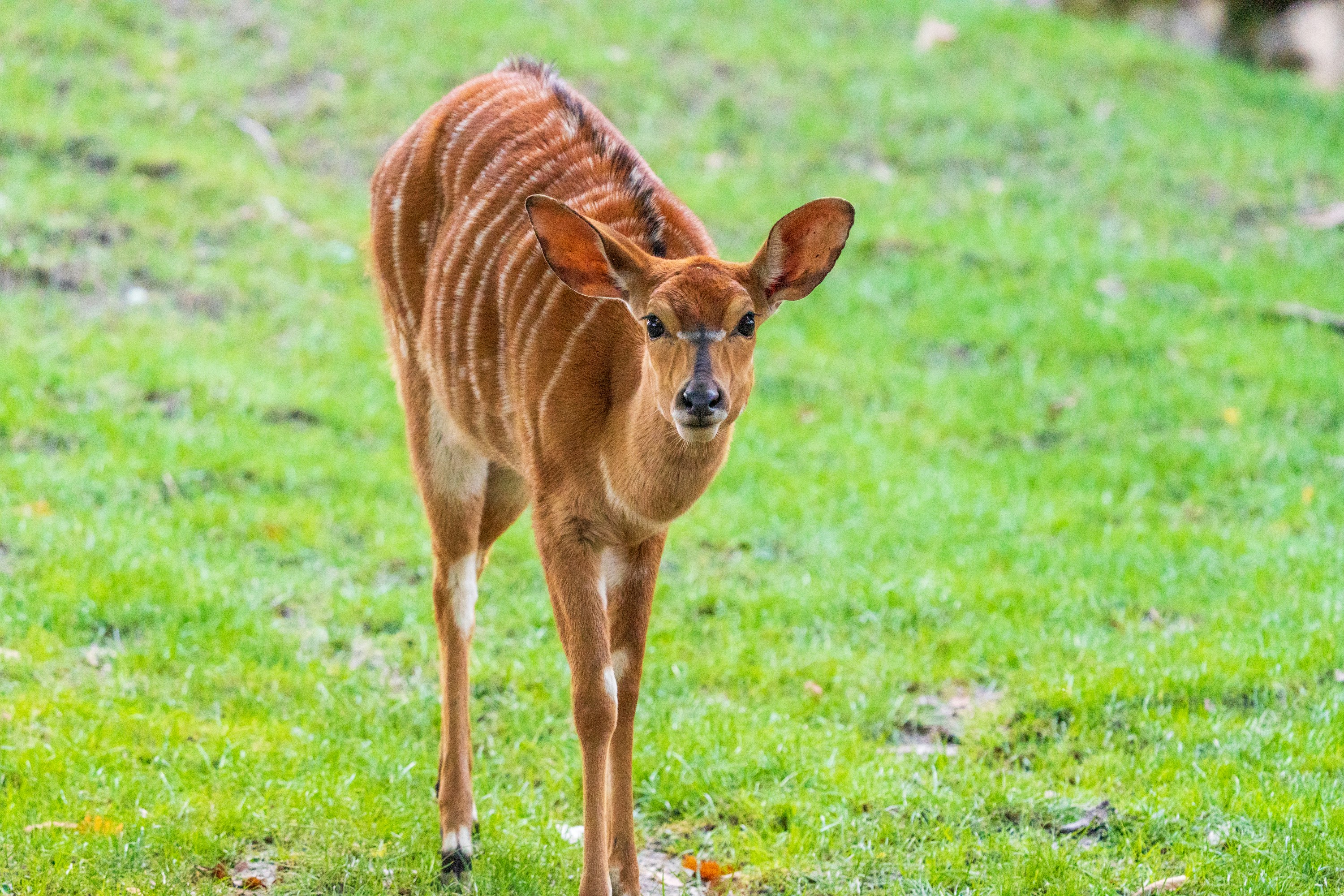 Photo by masoodaslami