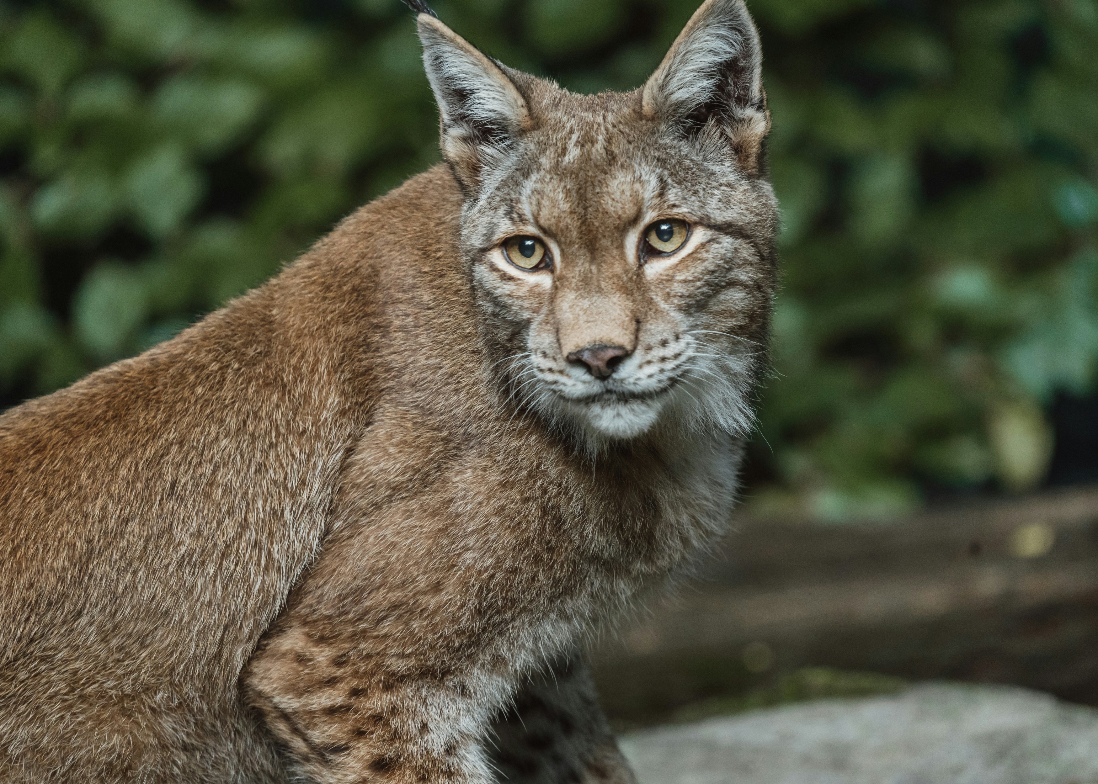 Photo by masoodaslami