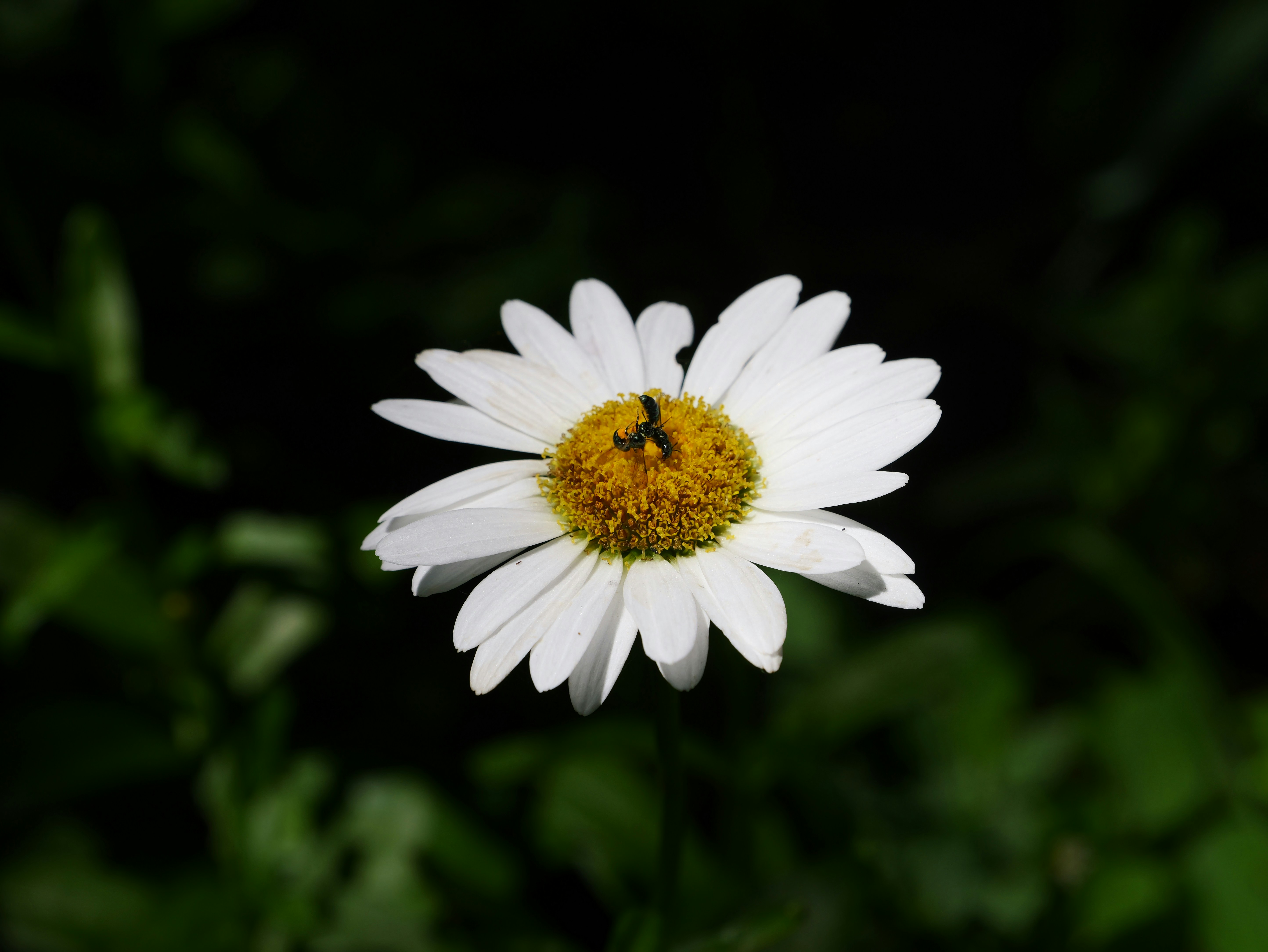 Photo by karonthompson