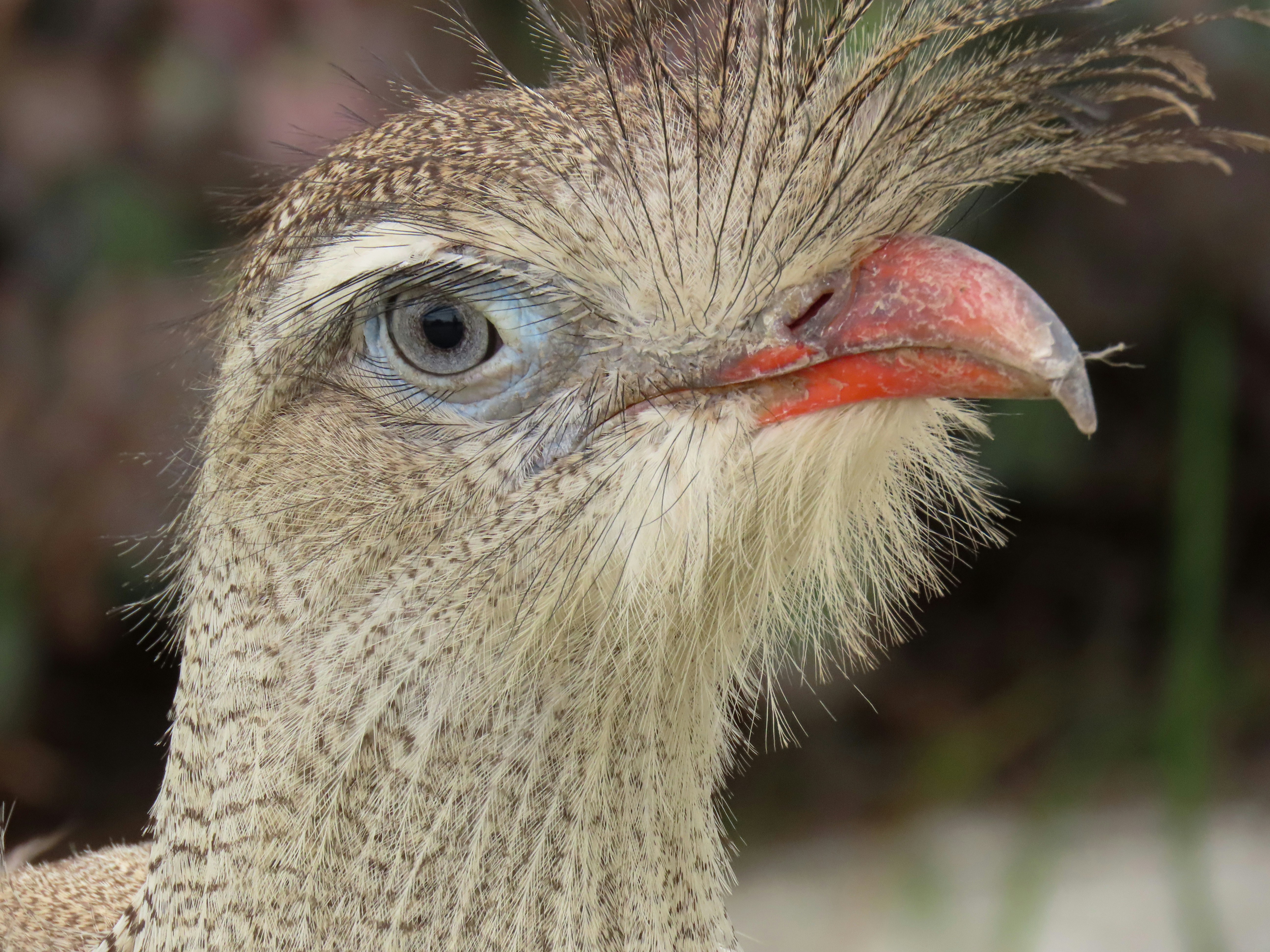 Photo by patricianicoloso