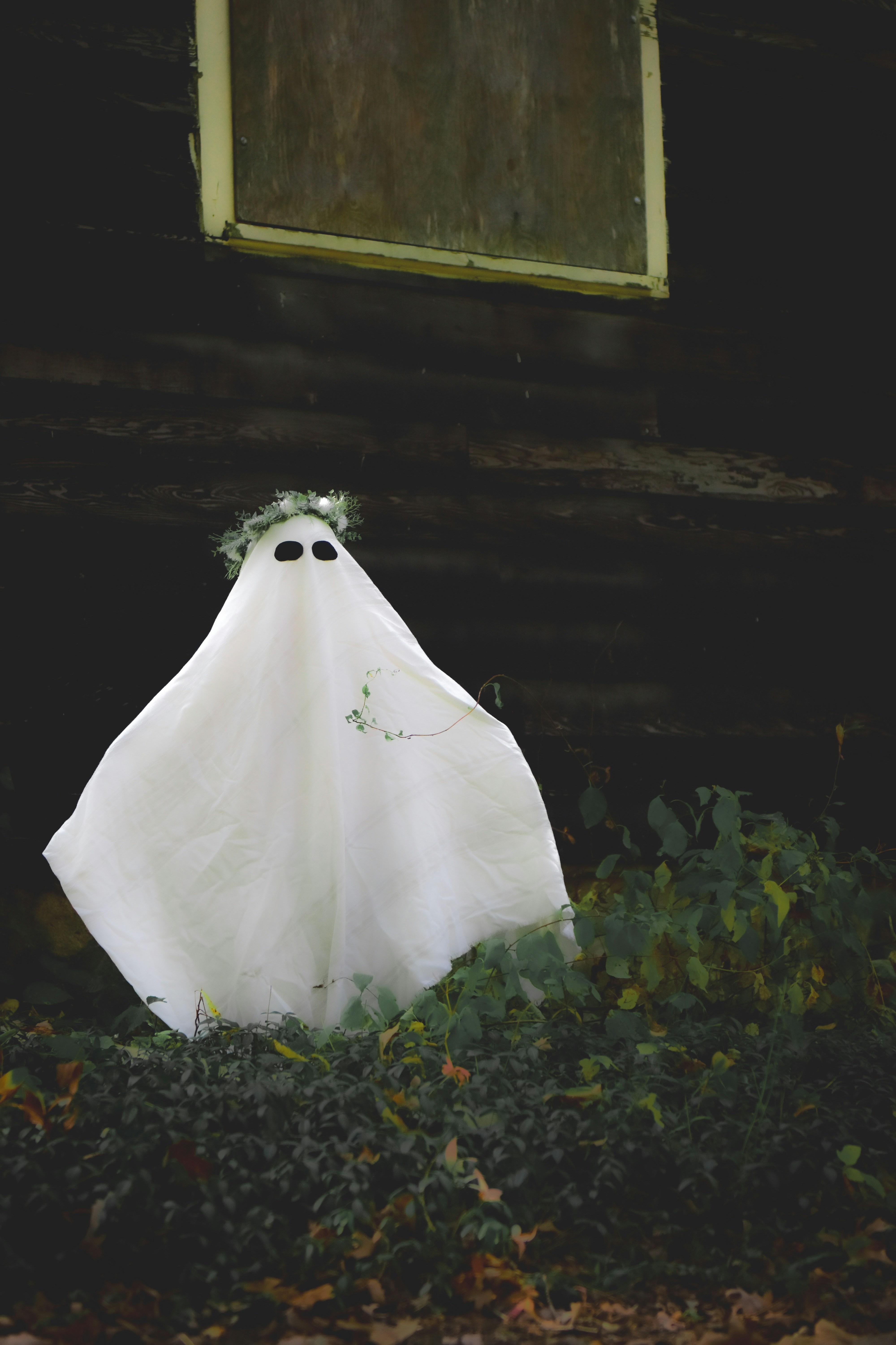 Photo by freefolkphoto