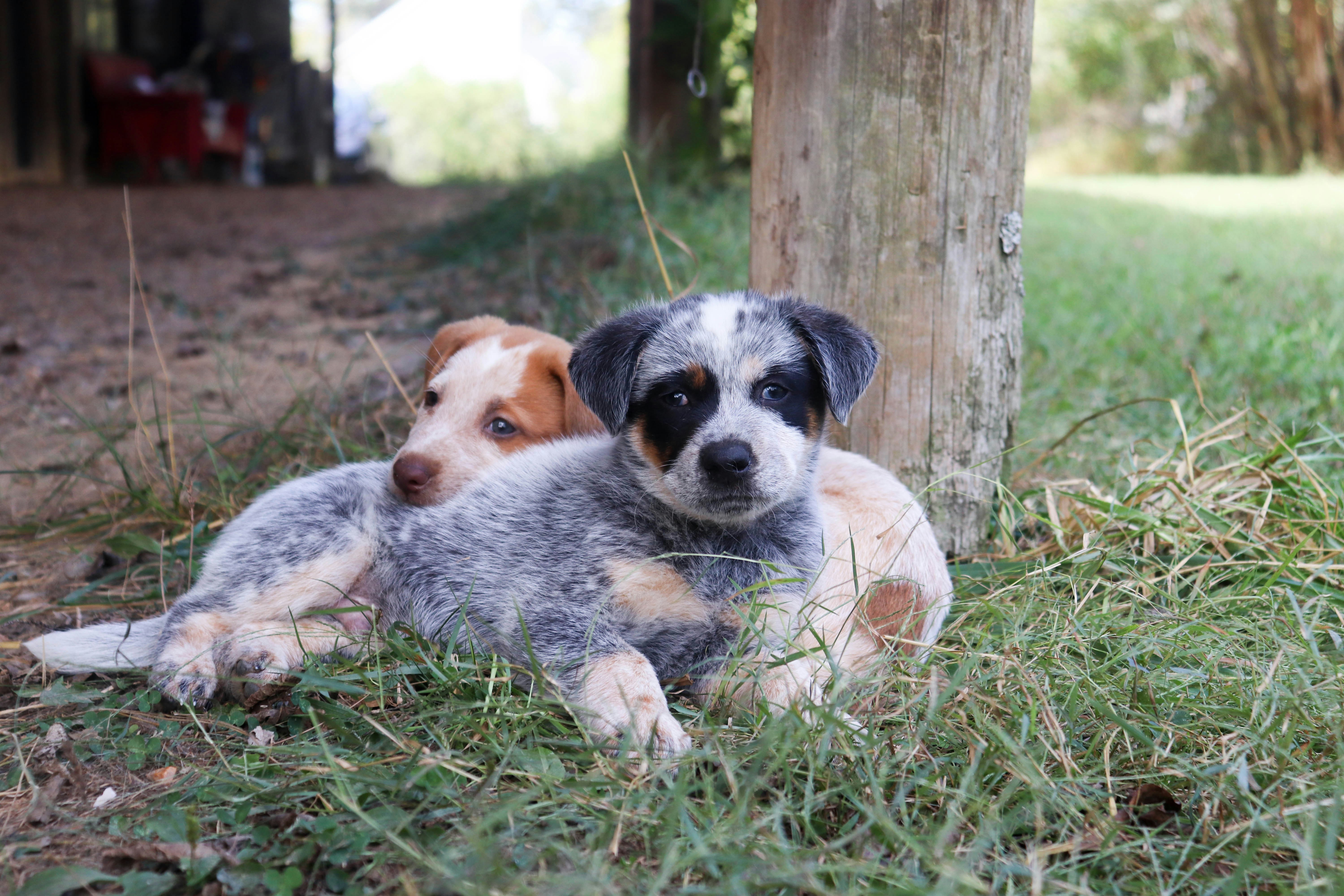 Photo by lroberts067