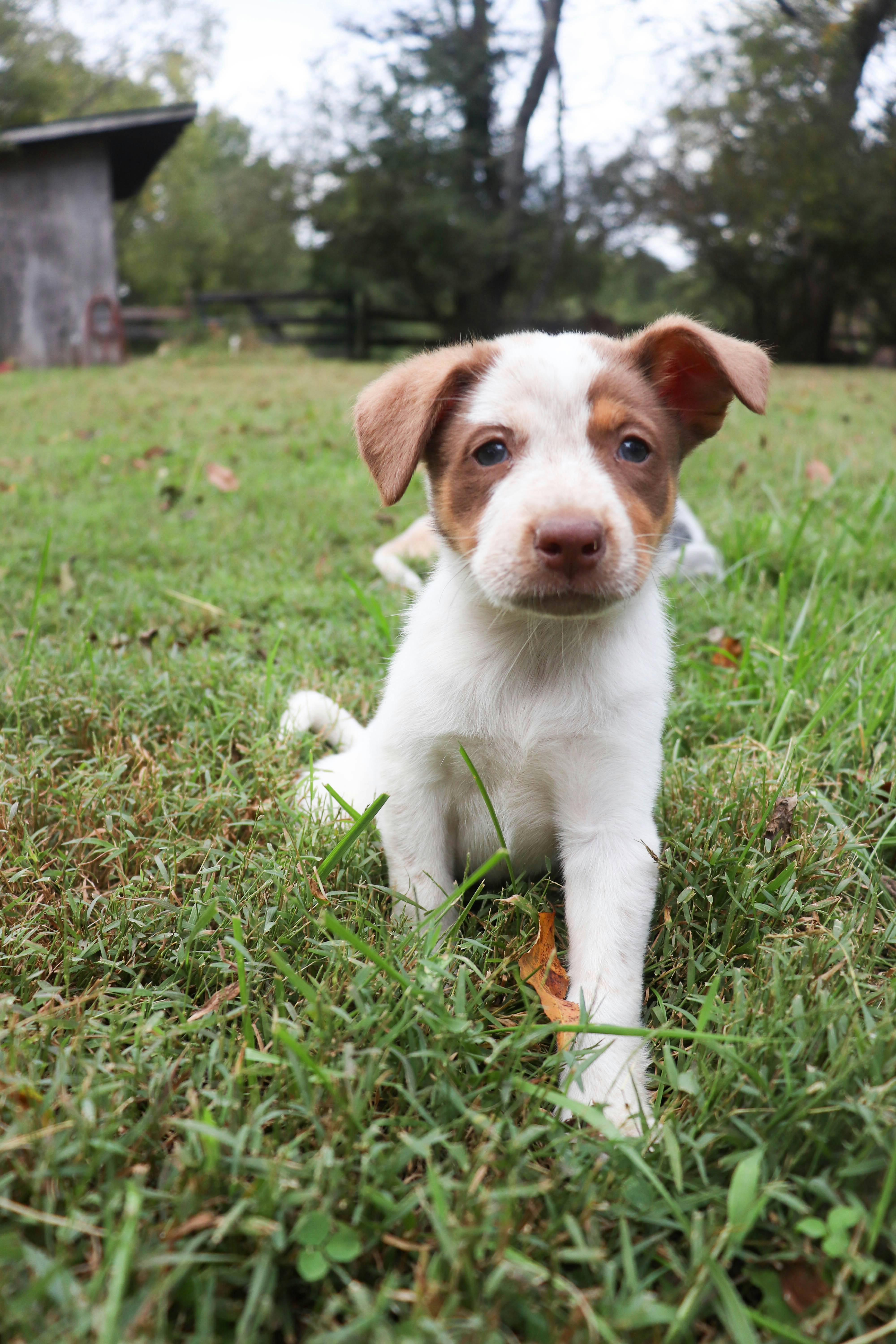 Photo by lroberts067