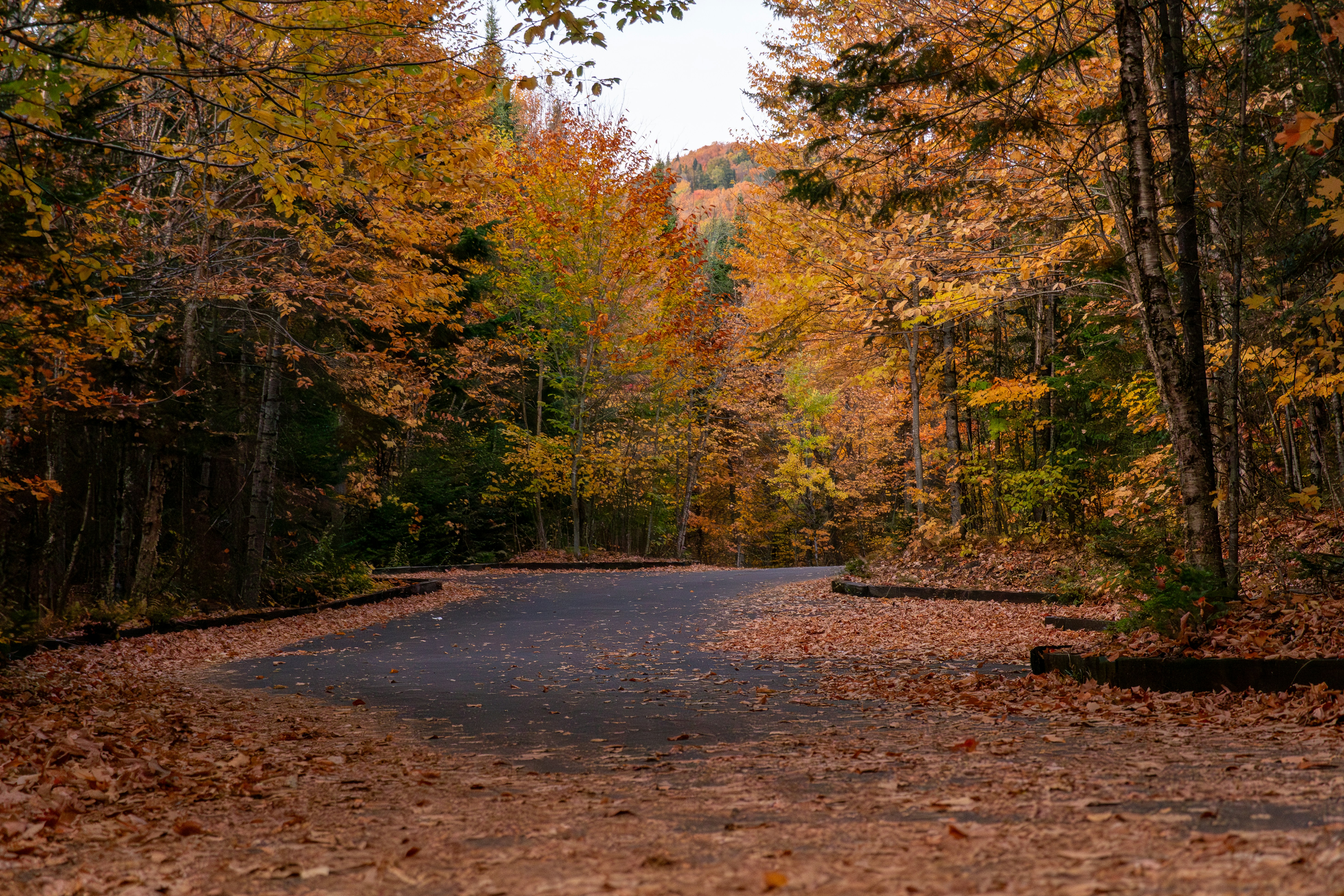 Interstate Park East