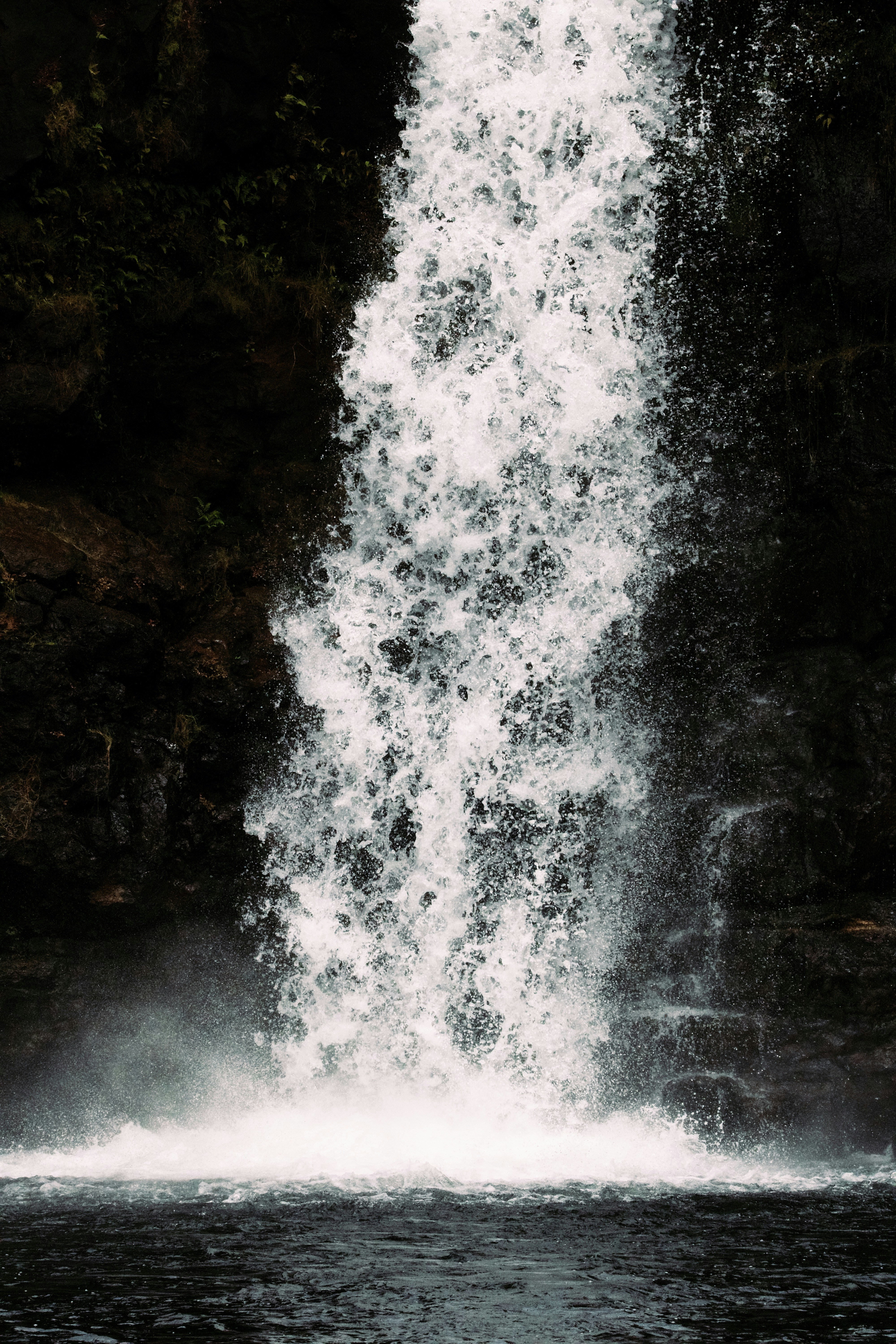 Photo by picsbyjameslee