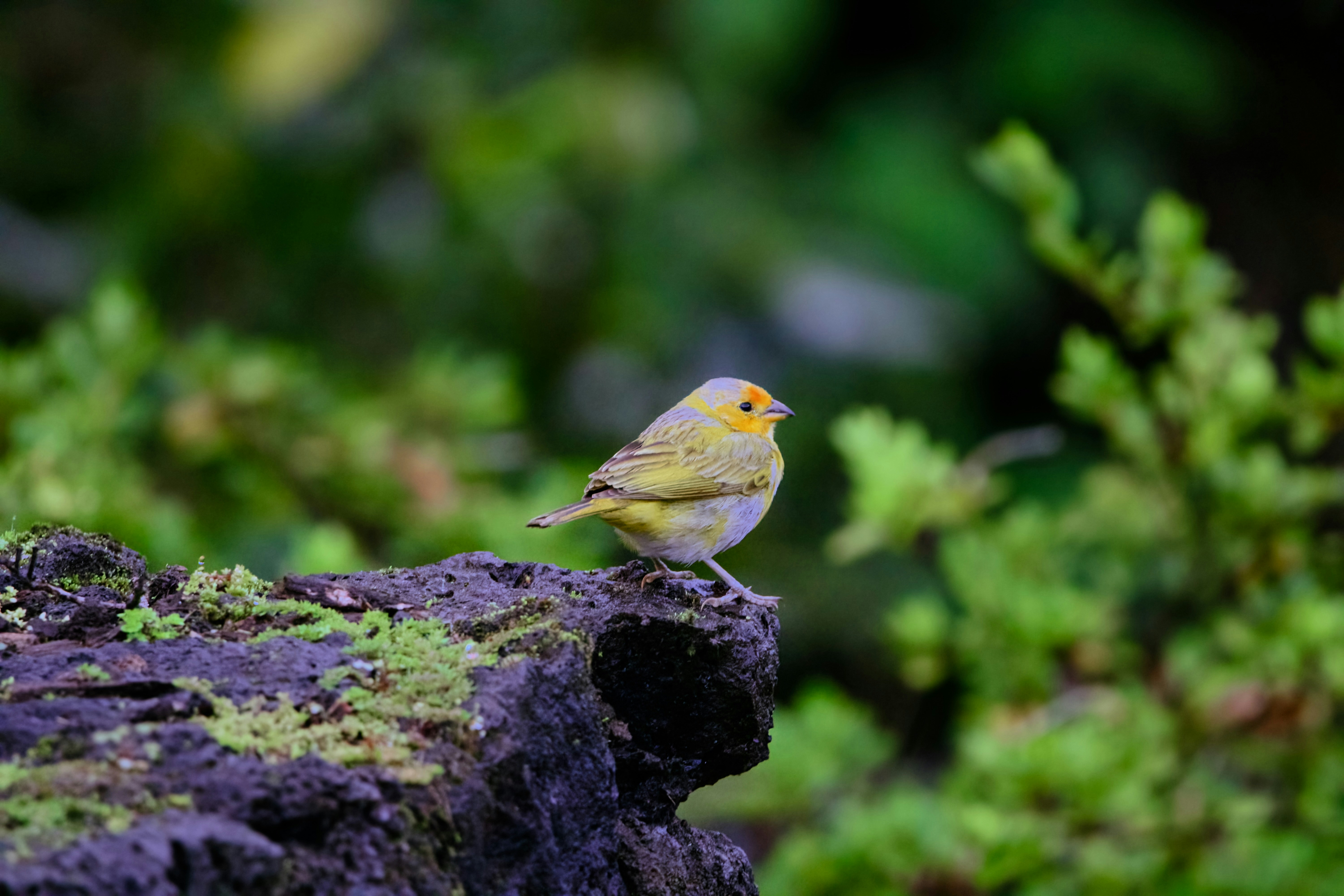 Photo by picsbyjameslee