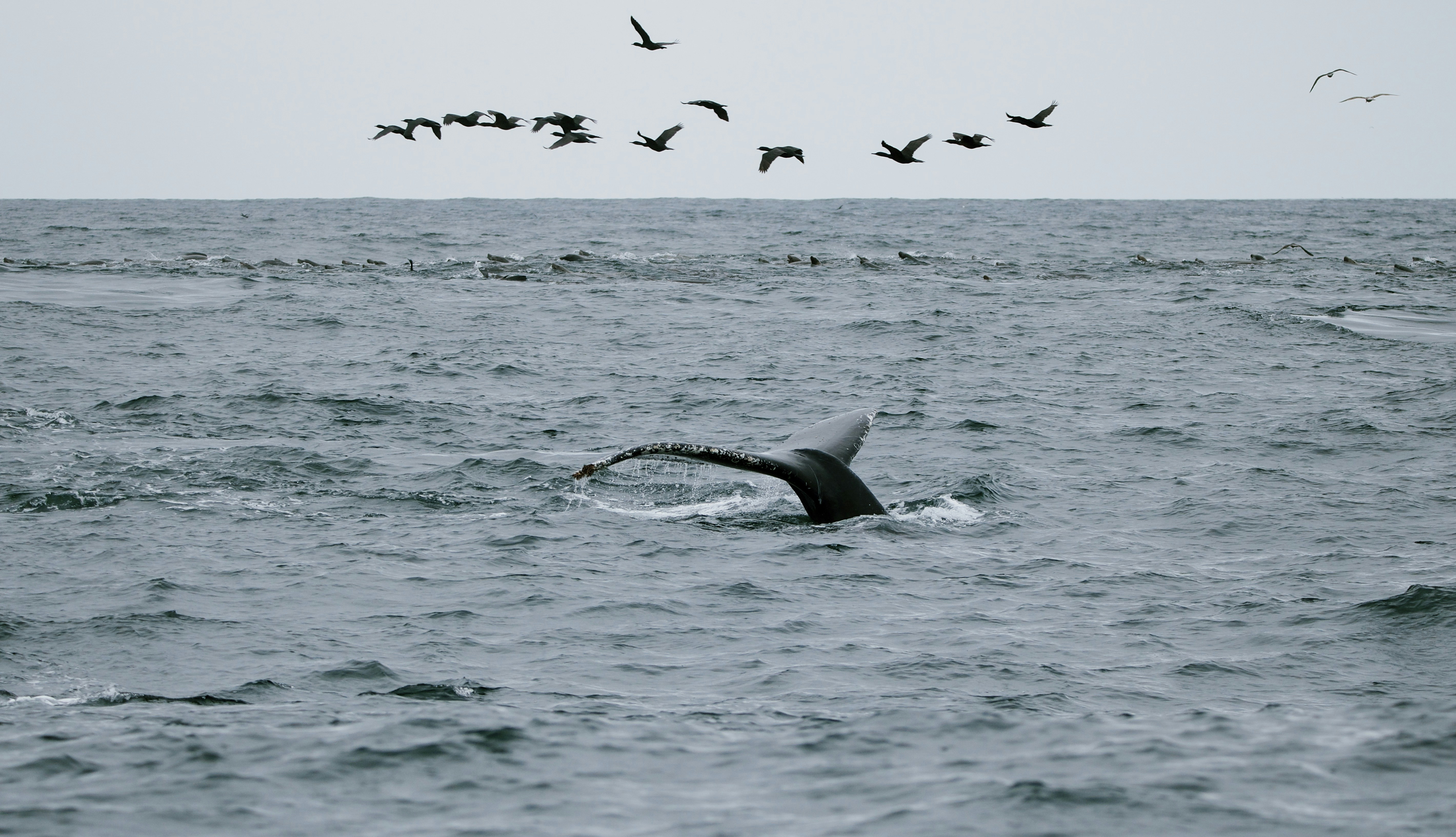 Photo by picsbyjameslee