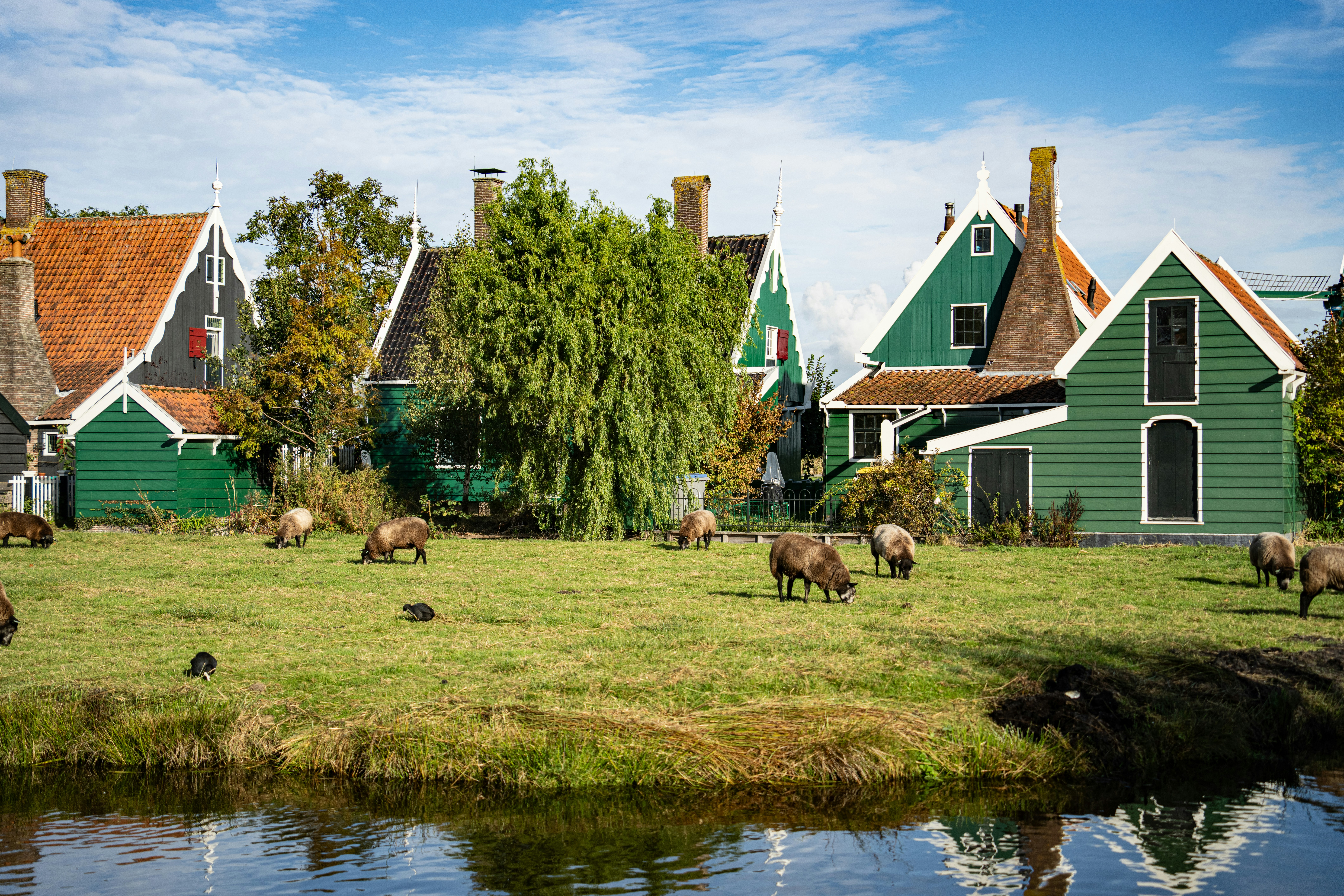 Ram's Pasture