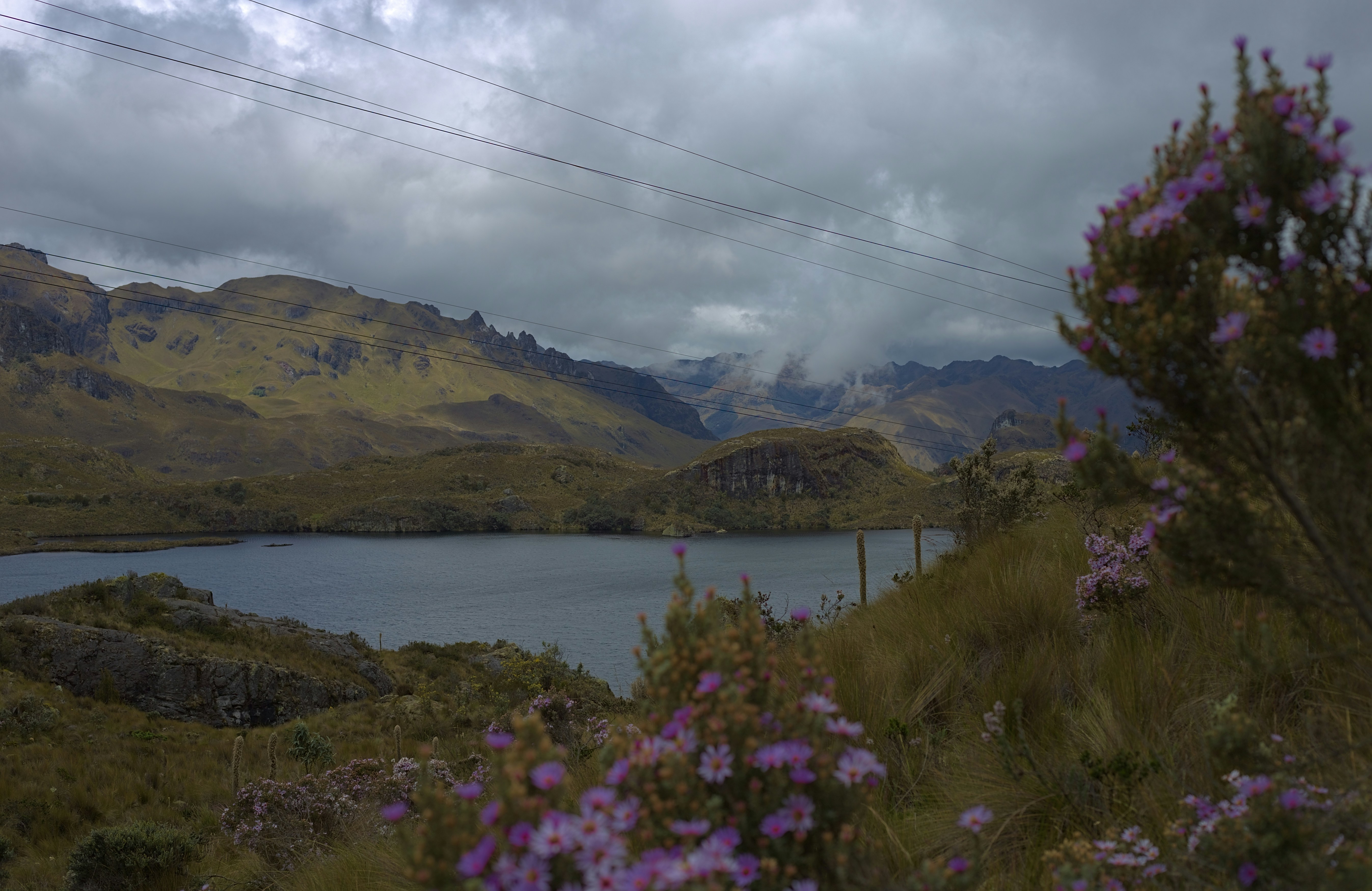 Lake nestled among cloudy mountains with purple flowers.